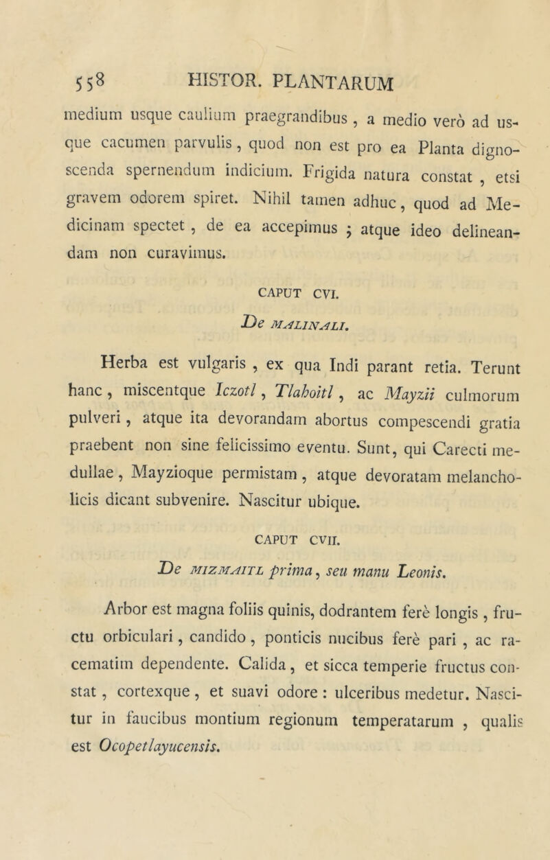 medium usque caulium praegrandibus , a medio vero ad us- que cacumen paivulis y quod non est pro ea Planta digno- scenda spernendum indicium. Frigida natura constat etsi gravem odorem spiret. Nihil tamen adhuc, quod ad Me- dicinam spectet, de ea accepimus ; atque ideo delinean- dani non curavimus. CAPUT cvi. Ue M^LINALI, Herba est vulgaris , ex qua Indi parant retia. Terunt hanc) miscentque Iczotl, Tluhoitl ^ ac M^uyzii culmorum pulveri, atque ita devorandam abortus compescendi gratia praebent non sine felicissimo eventu. Sunt, qui Carecti me- dullae , Mayzioque permistam, atque devoratam melancho- licis dicant subvenire. Nascitur ubique. CAPUT cvir. JDe MizMAiTL prima, seu manu Leonis, Arbor est magna foliis quinis, dodrantem fere longis , fru- ctu orbiculari, candido, ponticis nucibus fere pari , ac ra- cematim dependente. Calida , et sicca temperie fructus con- stat , cortexque, et suavi odore : ulceribus medetur. Nasci- tur in faucibus montium regionum temperatarum , qualis est Ocopetlayucensis,
