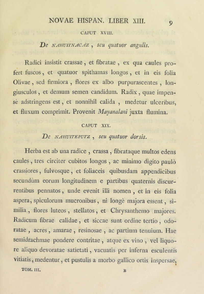 9 ^ CAPUT XVIII. De n.^huitnacJz , seu quatuor angulis. Radici insistit crassae , et fibratae , ex qua caules pro- fert fuscos, et quatuor spithamas longos , et in eis folia Olivae , sed firmiora , flores ex albo purpurascentes , lon- giusculos , et demum semen candidum. Radix, quae impen- se adstringens est, et nonnihil calida , medetur ulceribus, et fluxum comprimit. Provenit Mayanalani juxta flumina. CAPUT XIX. De NAHViTEPVTz , seu quatuor dorsis. Herba est ab una radice , crassa , fibrataque multos edens caules, tres circiter cubitos longos , ac minimo digito paulo crassiores, fulvosque, et foliaceis quibusdam appendicibus secundum eorum longitudinem e partibus quaternis discur- rentibus pennatos, unde evenit illi nomen , et in eis folia aspera, spiculorum mucronibus, ni longe majora essent, si- milia, flores luteos, stellatos, et Chrysanthemo majores. Radicum fibrae calidae, et siccae sunt ordine tertio, odo- ratae , acres, amarae , resinosae , ac partium tenuium. Hae semidrachmae pondere contritae , atque ex vino , vel liquo- re aliquo devoratae satietati, vacuatis per inferna esculentis vitiatis, medentur, et pustulis a morbo gallico ortis inspersae, TOM. III. B