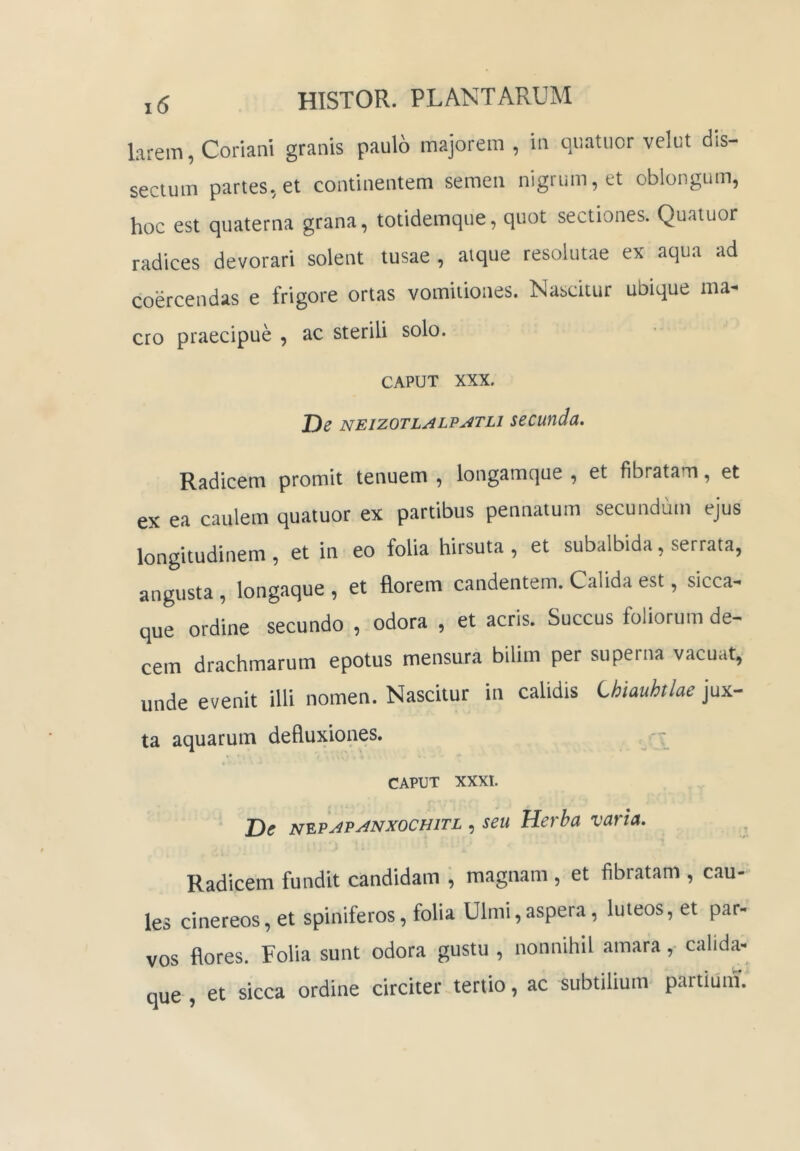 larem, Coriani granis paulo majorem , in qiiatuor velut dis- sectum partes, et continentem semen nigrum, et oblongum, hoc est quaterna grana, totidemque, quot sectiones. Quatuor radices devorari solent tusae , atque resolutae ex aqua ad coercendas e frigore ortas vomitiones. Nascitur ubique ma- cto praecipue , ac sterili solo. CAPUT XXX. T)e NEizoTLALPATLi secuuda. Radicem promit tenuem , longamque , et fibratam, et ex ea caulem quatuor ex partibus pennatum secundum ejus longitudinem , et in eo folia hirsuta , et subalbida, serrata, angusta , longaque , et florem candentem. Calida est, sicca- que ordine secundo , odora , et acris. Succus foliorum de- cem drachmarum epotus mensura bilim per superna vacuat, unde evenit illi nomen. Nascitur in calidis Chiauhtlae jux- ta aquarum defluxiones. CAPUT XXXI. De nep^p^nxochitl , seu Herba varia. Radicem fundit candidam , magnam, et fibratam , cau- les cinereos, et spiniferos, folia Ulmi,aspera, luteos, et par- vos flores. Folia sunt odora gustu , nonnihil amara, calida- que , et sicca ordine circiter tertio, ac subtilium partiiim.