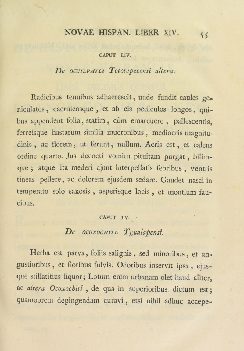 SS CAPUT LIV. De ocujLP^TLi Tototepecensi altera. Radicibus tenuibus adhaerescit, unde fundit caules ge- niculatos , caeruleosque , et ab eis pediculos longos, qui- bus appendent folia, statim , cum emarcuere, pallescentia, ferreisque hastarum similia mucronibus, mediocris magnitu- dinis, ac florem, ut ferunt, nullum. Acris est, et calens ordine quarto. Jus decocti vomitu pituitam purgat, bilim- que ; atque ita mederi ajunt interpellatis febribus , ventris tineas pellere, ac dolorem ejusdem sedare. Gaudet nasci in temperato solo saxosis , asperisque locis, et montium fau- cibus. CAPUT LV. * De ocoxocHiTL Tgualapensu Herba est parva, foliis salignis, sed minoribus, et an-* gustioribus, et floribus fulvis. Odoribus inservit ipsa, ejus- que stillatitius liquor; Lotum enim urbanam olet haud aliter, ac altera Ocoxochitl , de qua in superioribus, dictum est; quamobrem depingendam curavi, etsi nihil adhuc accepe-