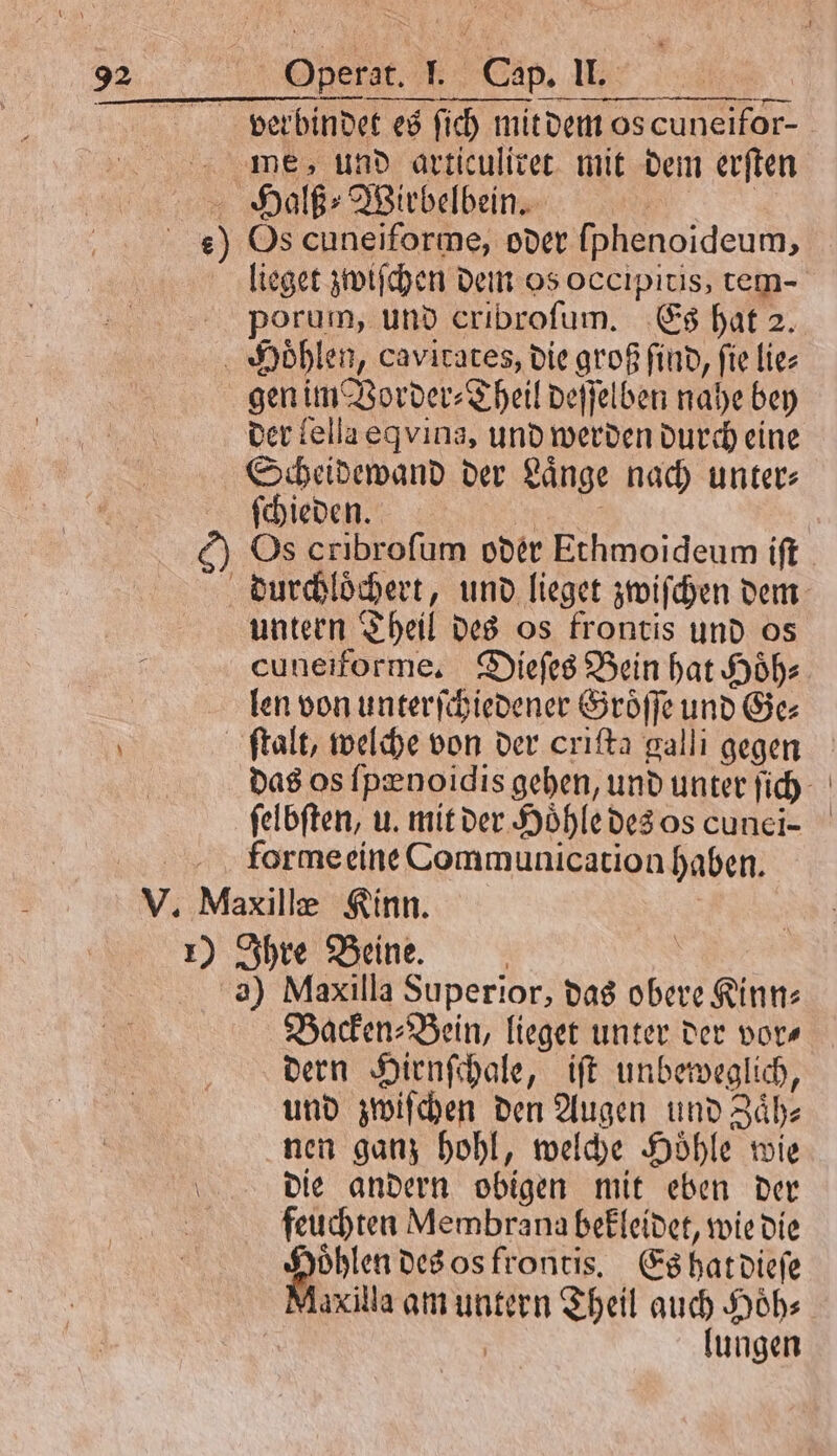 verbindet es ſich mit dem os cuneifor- mes, und articuliret mit dem erſten Halß⸗Wirbelbein. e) Os cuneiforme, oder ſphenoideum, porum, und cribroſum. Es hat 2. Hoͤhlen, cavitates, die groß find, fie lie⸗ gen im Vorder ⸗Theil deſſelben nahe bey der lella eqvina, und werden durch eine Scheidewand der Laͤnge nach unter⸗ ſchieden. 1. untern Theil des os frontis und os len von unterſchiedener Groͤſſe und Ge⸗ ftalt, welche von der crıfta galli gegen } forme eine Communication haben. V. Maxillæ Kinn. 1) Ihre Beine. | | a) Maxilla Superior, das obere Kinn: Backen⸗Bein, lieget unter der vor⸗ dern Hirnſchale, iſt unbeweglich, und zwiſchen den Augen und Zäh: nen ganz hohl, welche Höhle wie die andern obigen mit eben der 8 feuchten Membrana bekleidet, wie die go des os frontis. Es hat dieſe axilla am untern Theil auch Hoͤh⸗ | lungen