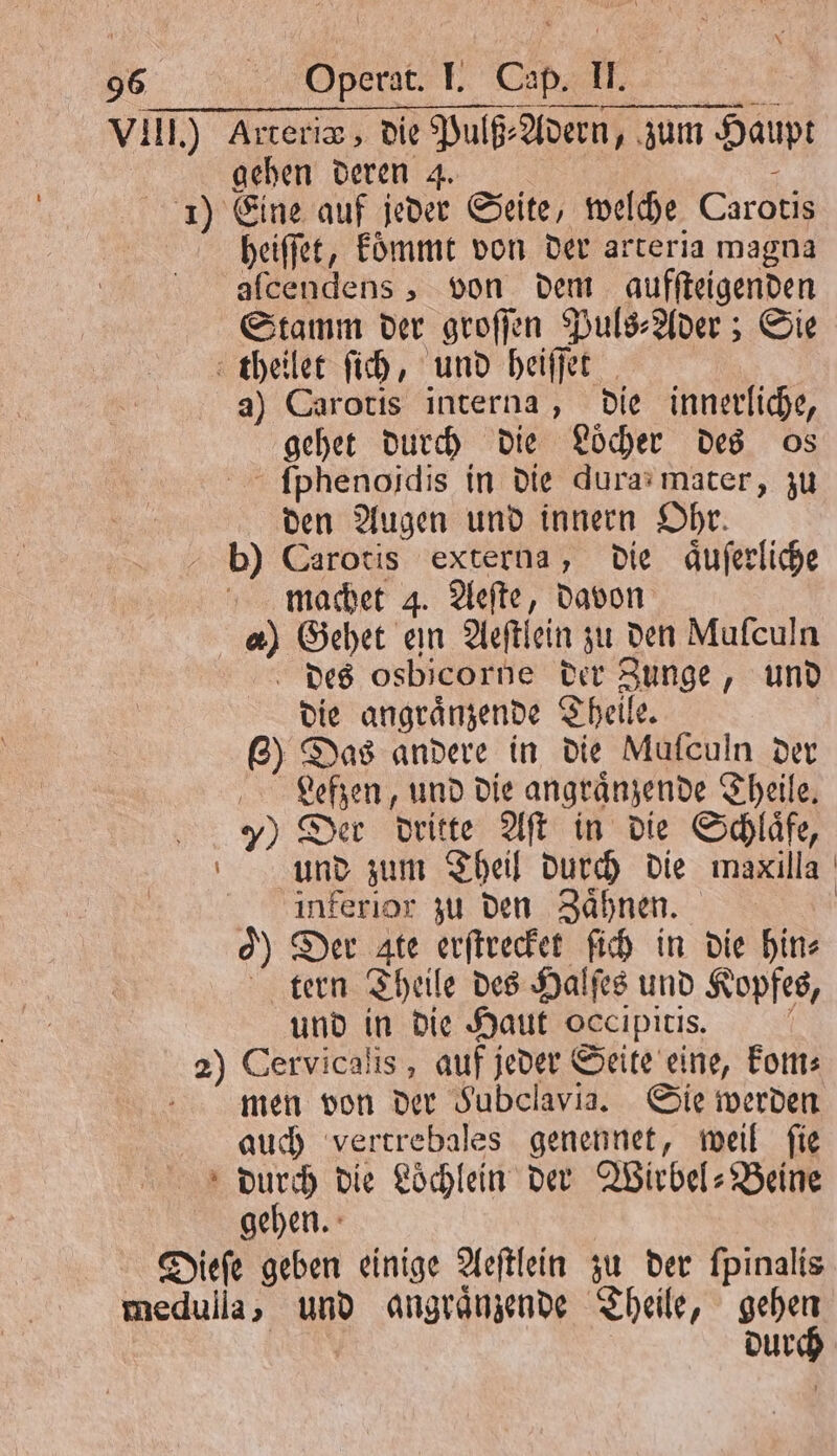 VIII.) Arteriz, die Pulß⸗Adern, zum Haupt gehen deren 4. - 1) Eine auf jeder Seite, welche Carotis heiſſet, koͤmmt von der arteria magna alcendens, von dem aufſteigenden Stamm der groſſen Puls⸗Ader; Sie theilet ſich, und heiſſet a) Carotis interna, die innerliche, gehet durch die Löcher des os ſphenoidis in die dura mater, zu den Augen und innern Ohr. b) Carotis externa, die aͤuſerliche machet 4. Aeſte, davon c) Gehet ein Aeſtlein zu den Mufculn des osbicorne der Zunge, und die angraͤnzende Theile. 8) Das andere in die Mufculn der Lersekfzen, und die angraͤnzende Theile. 7) Der dritte Aſt in die Schlaͤfe, und zum Theil durch die maxilla inkerior zu den Zaͤhnen. c 0) Der ate erſtrecket ſich in die hin⸗ tern Theile des Halſes und Kopfes, und in die Haut occipitis. f 2) Cervicalis, auf jeder Seite eine, kom⸗ men von der Fubclavia. Sie werden auch vertrebales genennet, weil ſie diurch die Loͤchlein der Wirbel-Beine gehen. Dieſe geben einige Aeſtlein zu der fpinalis medulla, und angraͤnzende Theile, gehen | durch