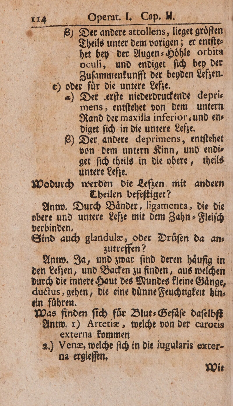 Theils unter dem vorigen; er entſte⸗ het bey der Augen⸗Hoͤhle orbita oculi, und endiget ſich bey der 1 Zuſammenkunfft der beyden Lefzen. 0) oder fuͤr die untere Lefze. f ) Der .erfte niederdruckende depri⸗ mens, entſtehet von dem untern Rand der maxilla inferior, und en⸗ diget ſich in die untere Lefze. 8) Der andere deprimens, entſtehet von dem untern Kinn, und endi⸗ get ſich theils in die obere, theils pee ee, | Wodurch werden die Lefzen mit andern | Theilen befeftiger? | Antw. Durch Bänder, ligamenta, die die obere und untere Lefze mit dem Zahn⸗Fleiſch verbinden. ae | Sind auch glandulæ, oder Drüfen da ans | zutreffen? den Lefzen, und Backen zu finden, aus welchen durch die innere Haut des Mundes kleine Gaͤnge, ein fuͤhren. . os Was finden ſich für Blut⸗Gefaͤſe daſelbſt Antw. 1) Artetiæ, welche von der carotis externa kommen | | 2.) Venæ, welche ſich in Die jugularis exter- na ergieſſen. | | Wie
