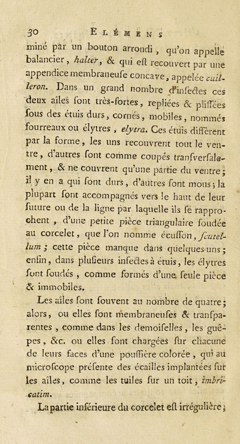 miné par un bouton arrondi , qu’on appellé balancier, halttr^ Sc qui eÜ recouvert par ii/ie appendicemembraneufe concave, appelée cuil- leron. Dans un grand nombre cfinfbdes ces deux ailes font trcs-fortes, repliées & pliîTées fous des étuis durs, cornés, mobiles, nommés fourreaux ou élyires , eljtra. Ces édis diffèrent par la forme, les uns recouvrent tout le ven¬ ue, d autres font comme coupés tran/Verfale- ment, & ne couvrent qu’une partie du ventre^ il y en a qui font durs, d’autres font mous; la plupart font accompagnés vers le haut de leur future ou de la ligne par laquelle ils fé rappro¬ chent , d’une petite pièce triangulaire fondée au corcelet, que l’on nomme écuffon, lum ; cette pièce manque dans quelques-uns ; enfin, dans pluGeiirs infedesà étuis, les clytres font fondés , comme formés d’une feule pièce & immobiles. Les ailes font fouvent au nombre de quatre; alors, ou elles font membraneiifes tranfpa- rentes , comme dans les demoifelles, les guê¬ pes , (Sec. ou elles font chargées fur chacune de leurs faces d’une pouffière colorée , qui ait microfeope préfente des écailles implantées fur les ailes, comme les tuiles fur un toit, imhri- çatim, La partie inférieure du corcelet efl irrégulière ^