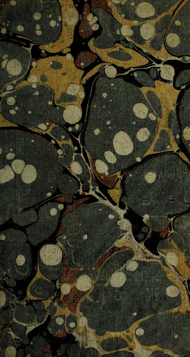 digitised image 3