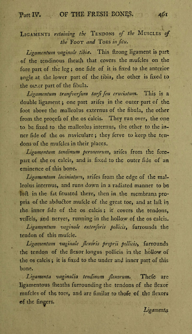 Ligaments retaining the Tendons of the Muscles of the Foot and Toes in ftu, Ligamentum vagmak tibia. This ftrong ligament is part of the tendinous (heath that covers the mufcles on the fore part of the leg; one fide of it is fixed to the anterior ^ngle at the lower part of the tibia, the other is fixed to the ou\er part of the fibula. Ligamentum tranfverfum tarfi feu cruciatum. This is a double ligament; one part arifes in the outer part of the foot above the malleolus externus of the fibula, the other from the procefs of the os calcis. They run over, the one to be fixed to the malleolus interims, the other to the in- ner fide of the os navicuUre; they ferve to keep the ten- dons of the mufcles in their places. ' Ligamentum tendinum peroneortmy arifes from the fore- part of the os calcis, and is fixed to the outer fide of an eminence of this bone. Ligamentum laciniatum^ arifes from the edge of the mal- leolus internus, and runs do\vn in a radiated manner to be loft in the fat fituated there, then in the membrana pro- pria of the abduefor mufcle of the great toe, and at laft in the inner fide of the os calcis; it covers the tendons, vefieis, and nerves, running in the hollow of the os calcis, Ligamentum vaginale extenforis polliclsy furrounds the tendon of this mufcle. Ligamentum vaginale fexoris proprii pollicis^ furrounds the tendon of the flexor longus pollicis in tfie hollow of the os plcis ; it is fix.ed to the under and inner part of this bone. Ligamenta 'vaginalia tendinum fexorum,^ Thefe are ligamentous (heaths furrounding the tendons of the flexor mufcles of the toes, and are fimilar to thofe of the flexors the fillers. Ligameniei