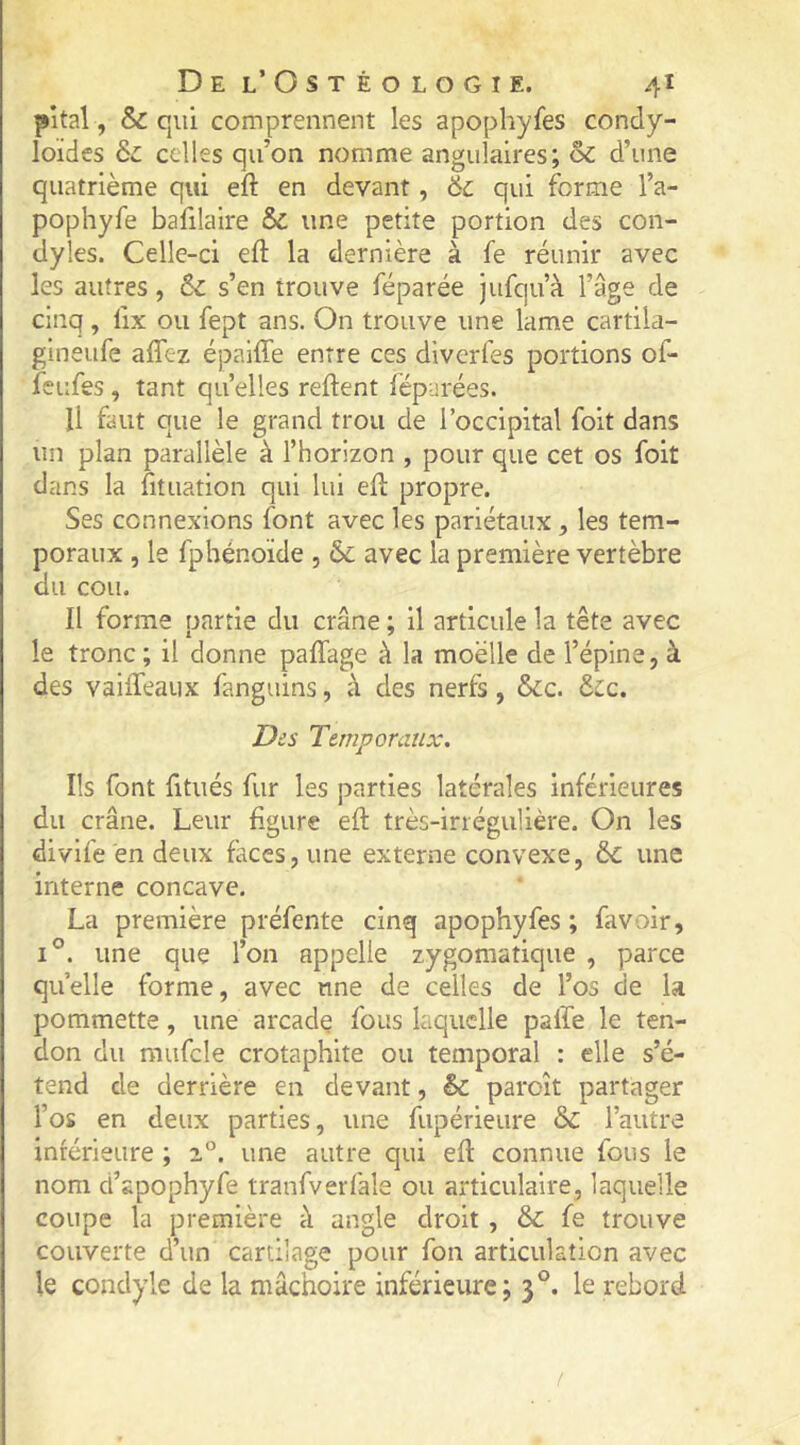 pital, & qui comprennent les apophyfes condy- loïdes èc celles qu’on nomme angulaires; & d’une quatrième qui eft en devant, 6c qui forme l’a- pophyfe bafilaire 6c une petite portion des con- dyles. Celle-ci efl: la dernière à fe réunir avec les autres, 6c s’en trouve féparée jufqu’à l’âge de cinq, fix ou fept ans. On trouve une lame cartila- gineufe affez épaiffe entre ces diverfes portions of- feufes, tant quelles relient lëparées. U faut que le grand trou de l’occipital foit dans un plan parallèle à l’horizon , pour que cet os foit dans la fituation qui lui ell propre. Ses connexions font avec les pariétaux, les tem- poraux , le fphénoïde , 6c avec la première vertèbre du cou. Il forme partie du crâne ; il articule la tête avec le tronc ; il donne palfage à la moelle de l’épine, à des vaiffeaiix fanguins, à des nerfs, 6cc. 6cc. Des Temporaux. Ils font fitués fur les parties latérales inférieures du crâne. Leur figure efl très-irrégulière. On les divife en deux faces, une externe convexe, 6c une interne concave. La première préfente cinq apophyfes ; favolr, 1°. une que l’on appelle zygomatique , parce quelle forme, avec une de celles de l’os de la pommette, une arcade fous laquelle palfe le ten- don du mufcle crotaphite ou temporal ; elle s’é- tend de derrière en devant, 6c paroît partager l’os en deux parties, une fupérieure 6c l’autre inférieure ; 2®. une autre qui efl connue fous le nom d’apophyfe tranfverfale ou articulaire, laquelle coupe la première à angle droit, 6c fe trouve couverte d’un cartilage pour fon articulation avec le condyle de la mâchoire inférieure; 3°. le rebord