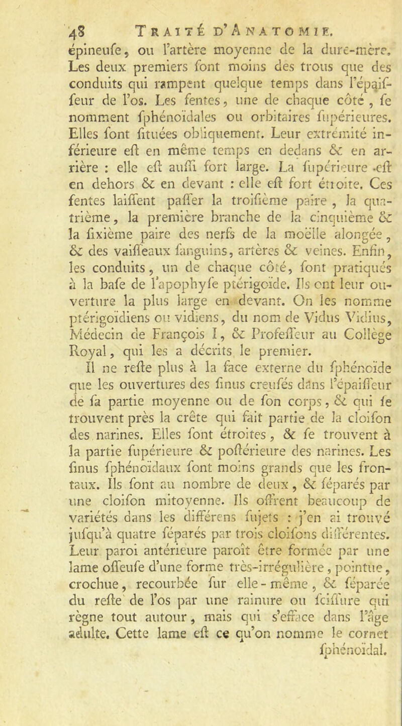 ëpineufe, ou l’artère moyenne de la dure-mère. Les deux premiers font moins des trous que des conduits qui rampent quelque temps dans l’épqif- feur de l’os. Les fentes, une de chaque côté , fe nomment fphénoïdales ou orbitaires fupérieures. Elles font fituées obliquement. Leur extrémité in- férieure eft en même temps en dedans &c en ar- rière : elle eft auln fort large. La fupérieure .cft en dehors & en devant : elle eft fort étioite. Ces fentes laifîent paffer la troifième paire , la qua- trième , la première branche de la cinquième & la fixième paire des nerfs de la moelle alongée, & des vaiffeaux fanguins, artères & veines. Enfin, les conduits, un de chaque côté, font pratiqués à la bafe de 1 apophyfe ptérigoide. Ils ont leur ou- verture la plus large en devant. On les nomme ptérigoïdiens ou vidiens, du nom de Vidus Vidius, Médecin de François I, & ProfeiTeur au Collège Royal, qui les a décrits le premier. Il ne relie plus à la face externe du fphéncïde que les ouvertures des finus creiifés dans l’épaiflèur de fa partie moyenne ou de fon corps, qui le trouvent près la crête qui fait partie de la cloifon des narines. Elles font étroites, & fe trouvent à la partie fupérieure & podérieure des narines. Les finus fphénoïdaux font moins grands que les fron- taux. Ils font au nombre de deux, & léparés par une cloifon mitoyenne. Ils odVent beaucoup de variétés dans les clifFérens fujets : j’en ai trouvé jufqu’à quatre féparés par trois cloifons dillcrentes. Leur paroi antérieure paroîî être formée par une lame oll'eufe d’une forme très-irrégulière, pointue, crochue, recourbée fur elle - miême , &c féparée du relie de l’os par une rainure ou feiffure qui règne tout autour, mais qui s’efface dans l’âge adulte. Cette lame ed ce qu’on nomme le cornet fphénoïdal.