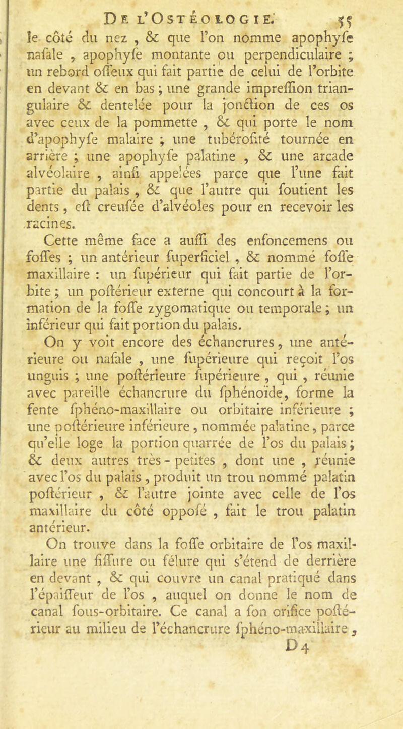 le côté du nez , & que l’on nomme apophyfe nafale , apophyfe montante ou perpendiculaire ; un rebord oiTeux qui fait partie de celui de l’orbite en devant & en bas ; une grande impreffion trian- gulaire & dentelée pour la jonftion de ces os avec ceux de la pommette , & qui porte le nom d’apophyfe malaire ; une tubérofité tournée en arrière ; une apophyfe palatine , & une arcade alvéolaire , ainfi appelées parce que l’une fait partie du palais , & que l’autre qui foutient les dents, eft creufée d’alvéoles pour en recevoir les racines. Cette même face a aufli des enfoncemens ou foffes ; un antérieur fuperhciel , & nommé folie maxillaire : un fupérieur qui fait partie de l’or- bite ; un poftérieur externe qui concourt à la for- mation de la foffe zygomatique ou temporale ; un inférieur qui fait portion du palais. On y voit encore des échancrures, une anté- rieure ou nafale , une fupérieure qui reçoit l’os unguis ; une poliérieure fupérieure , qui , réunie avec pareille échancrure du fphénoïde, forme la fente fphéno-maxillaire ou orbitaire inférieure ; une pcftérieure inférieure , nommée palatine, parce qu’elle loge la portion quarrce de l’os du palais ; & deux autres très - petites , dont une , ^'éunie avec l’os du palais , produit un trou nommé palatin poftérieur , &: l’autre jointe avec celle de l’os maxillaire du côté oppofé , fait le trou palatin anterieur. On trouve dans la foffe orbitaire de l’os maxil- laire une fiffure ou fêlure qui s’étend de derrière en devant , 6c qui couvre un canal pratiqué dans l’épalffeur de l’os , auquel on donne le nom de canal fous-orbitaire. Ce canal a fon orifice pofté- rieur au milieu de l’échancrure fphéno-maxillaire j