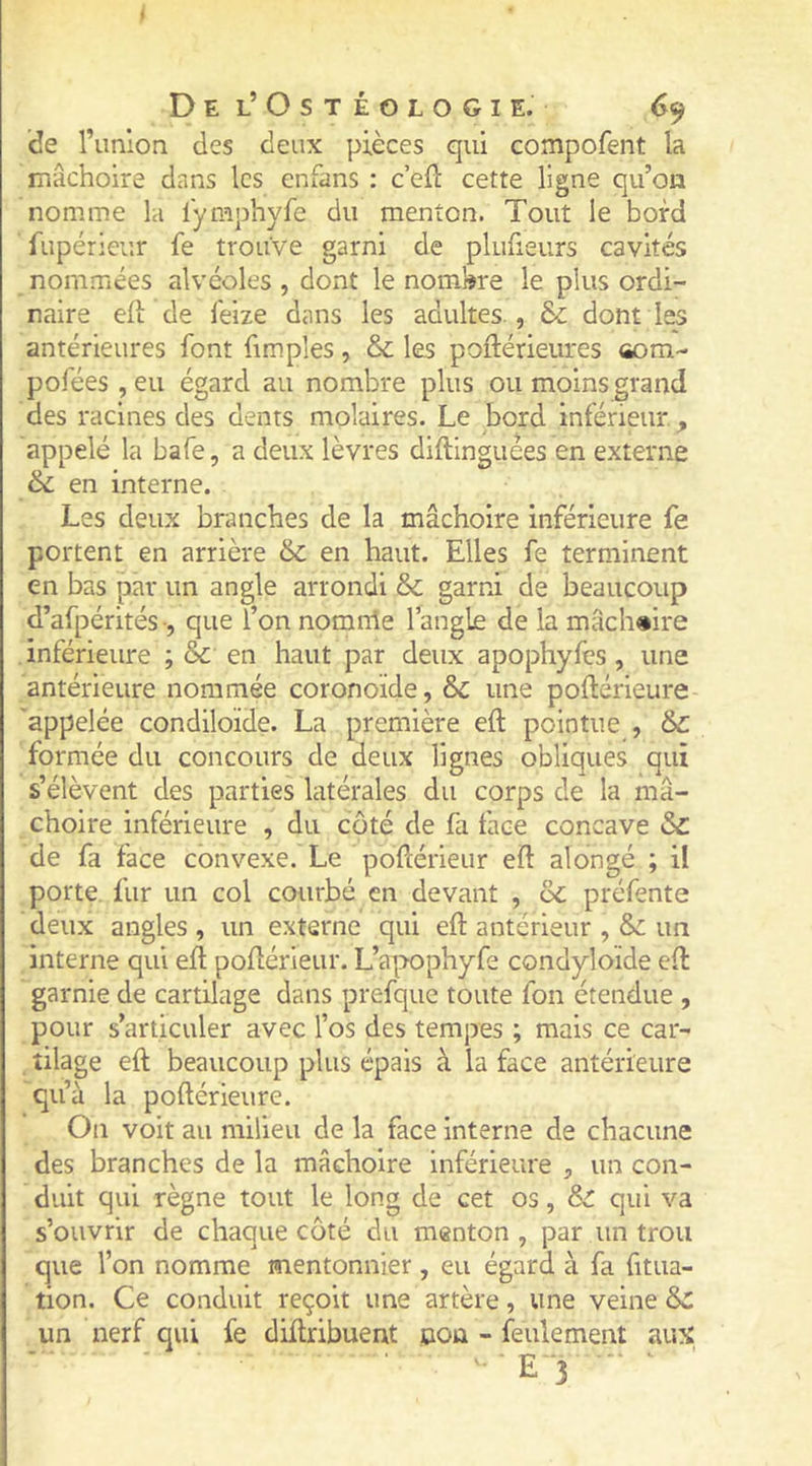 de l’union des deux pièces qui compofent la mâchoire dans les enfans : c’eft cette ligne qu’on nomme la lymphyfe du menton. Tout le bord fupérieur fe trouve garni de plufieurs cavités nommées alvéoles , dont le nombre le plus ordi- naire eii de l'eize dans les adultes , & dont les antérieures font fim.ples, & les poftérieures aom- pofées , eu égard au nombre plus ou moins grand des racines des dents molaires. Le bord inférieur. appelé la bafe, a deux lèvres diftinguées en externe & en interne. Les deux branches de la mâchoire inférieure fe portent en arrière & en haut. Elles fe terminent en bas par un angle arrondi & garni de beaucoup d’afpérités -, que l’on nomnie l’angle de la mâchoire . inférieure ; & en haut par deux apophyfes, une antérieure nommée coronoïde, & une poftérieure 'appelée condiloïde. La première eft pointue , &C formée du concours de deux lignes obliques qui s’élèvent des parties latérales du corps de la mâ- choire inférieure , du côté de fa face concave Sc de fa face convexe. Le poflérieur eft alongé ; il porte, fur un col courbé en devant , oC préfente deux angles , un externe qui eft antérieur , un interne qui eft poftérieur. L’a|X)phyfe condyloïde eft garnie de cartilage dans prefque toute fon étendue , pour s’articuler avec l’os des tempes ; mais ce car- îilage eft beaucoup plus épais à la face antérieure qu’à la poftérieure. On voit au milieu de la face interne de chacune des branches de la mâchoire inférieure , un con- duit qui règne tout le long de cet os, Sc qui va s’ouvrir de chaque côté du menton, par un trou que l’on nomme mentonnier, eu égard à fa fitua- tion. Ce conduit reçoit une artère, une veine & un nerf qui fe diftribuent non - feulement aux: '•■E 3 •