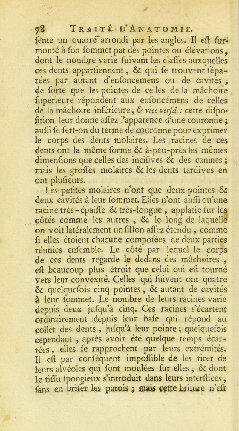 lente un quarré^arrondi par les angles. II eft fur- monté à fon fcmmet par des pointes ou élévations , dont le nombre varie fuivant les dalles auxquelles ces dents appartiennent, & qui fe trouvent fépa- îées par autant d’enfoncemens ou de cavités , de forte que les pointes de celles de la mâchoire fiipérieure répondent aux enfoncemens de celles de la mâchoire inférieure, & vice verfd : cette difpo- fition leur donne allez l’apparence d’une couronne ; auHi le fert-on du terme de couronne pour exprimer le corps des dents molaires. Les racines de ces dents ont la même forme & s-peu-près les memes dimenfions que celles des incifives des canines ; mais les grolTes molaires &: les dents tardives en ont plufieiirs. Les petites molaires n’ont que deux pointes & deux cavités à leur fomraet. Elles n’ont aulîi qu’une racine très - épailTe & très-longue , applaîielur les côtés comme les autres , & le long de laquelle on voit latéralement iinfillon alTez étendu , comme fl elles étoient chacune compofées de deux parties réunies enfemble. Le côté par lequel le corps de ces dents regarde le dedans des mâchoires , eft beaucoup plus étroit que celui qui eif tourné vers leur convexité. Celles qui fulvent ont quatre & quelquefois cinq pointes, & autant de cavités à leur fommet. Le nombre de leurs racines varie depuis deux jufqu’à cinq. Ces racines s’écartent ordinairement depuis leur bafe qui répond au collet des dents , jufqu’à leur pointe ; quelquefois cependant , après avoir été quelque temps écar- tées , elles fe rapprochent par leurs extrémités. Il eft par conféquent impofîible de les tirer de leurs alvéoles qui font moulées fur elles, & dont le fifl'u fpongieux s’introduit dans leurs interftices, fans en brifer les parois ; çaais ççtte bfilui’e n’eft