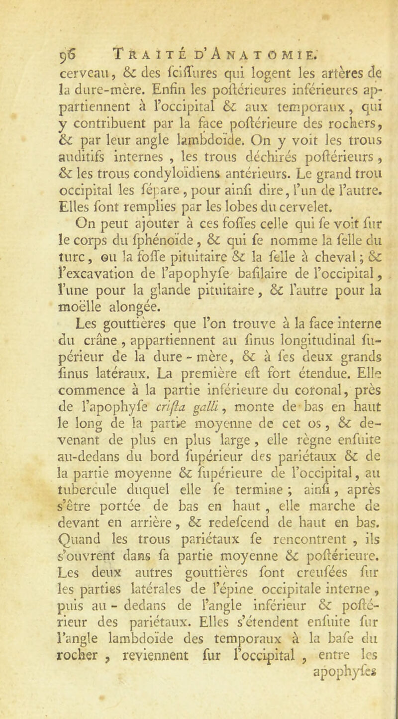 cerveau, & des IcilTures qui logent les artères de la dure-mère. Enfin les poftcrieures inférieures ap- partiennent à l’occipital & aux temporaux, qui y contribuent par la face poflérieure des rochers, 6c par leur angle lambdoïde. On y voit les trous auditifs internes , les trous déchirés poftérieurs , 6c les trous condyloïdiens antérieurs. Le grand trou occipital les fépare , pour ainfi dire, l’un de l’autre. Elles font remplies par les lobes du cervelet. On peut ajouter à ces foffes celle qui fe voit fur le corps du fphénoïde, 6c qui fe nomme la felle du turc, GU la foffe pituitaire 6c la felle à cheval ; 6c l’excavation de l’apophyfe bafilaire de l’occipital, Tune pour la glande pituitaire, 6c l’autre pour la moelle alongée. Les gouttières que l’on trouve à la face interne du crâne , appartiennent au finus longitudinal fu- périeur de la dure-mère, 6c à fes deux grands finus latéraux. La première eft fort étendue. Elle commence à la partie inférieure du coronal, près de l’apophyfe crifla galli ^ monte de bas en haut le long de la partie moyenne de cet os, 6c de- venant de plus en plus large , elle règne enfuite au-dedans du bord fupérieur des pariétaux 6c de la partie moyenne 6c flipérieure de l’occipital, au tubercule duquel elle fe termine ; ainfi, après s’être portée de bas en haut , elle marche de devant en arrière, 6c redefcend de haut en bas. Quand les trous pariétaux fe rencontrent , ils s’ouvrent dans fa partie moyenne 6c poflérieure. Les deux autres gouttières font creufées fur les parties latérales de l’épine occipitale interne , puis au - dedans de l’angle inférieur 6c poflc- rieur des pariétaux. Elles s’étendent enfuite fur l’angle lambdoïde des temporaux à la bafe du rocher , reviennent fur l’occipital , entre les apophyfes