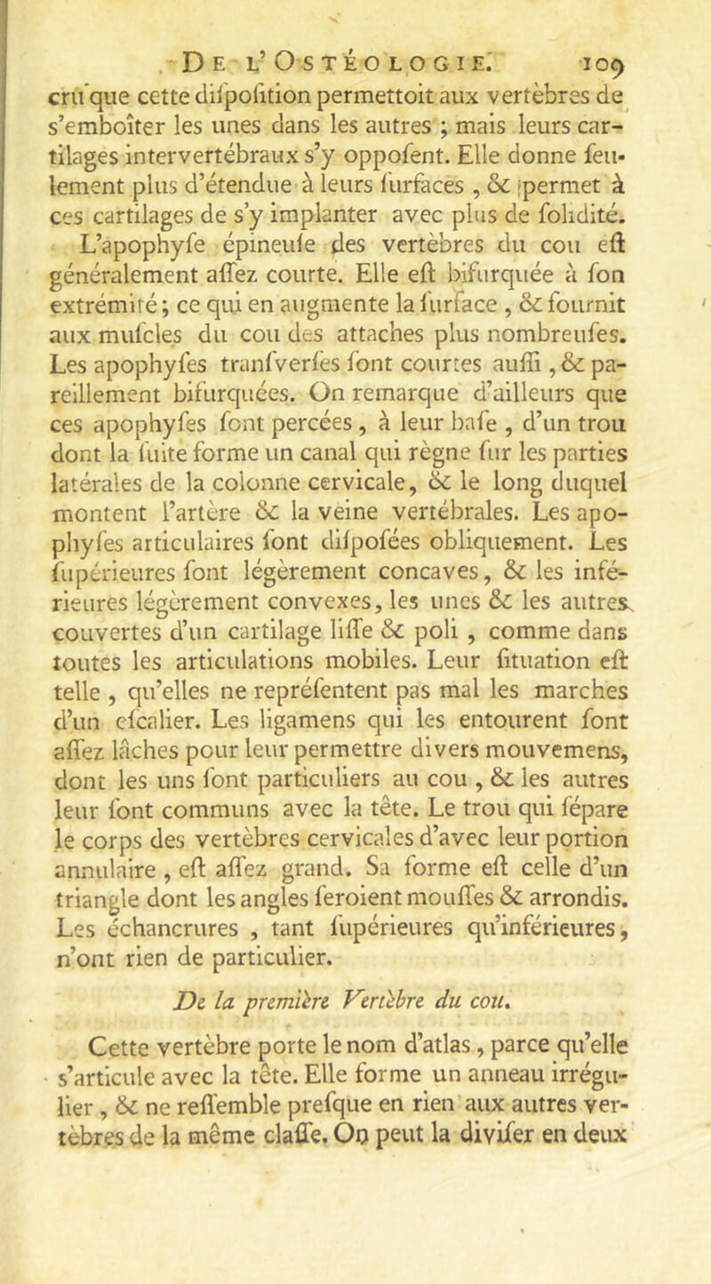 cru*que cette ciilpolition permettoit aux vertèbres de s’emboîter les unes dans les autres ; mais leurs car- tilages intervertébraux s’y oppofent. Elle donne feu- lement plus d’étendue à leurs furfaces , & jpermet à ces cartilages de s’y implanter avec plus de folidité. L’apophyfe épineule des vertèbres du cou eft généralement afîez courte. Elle eft bifurquée à fon extrémité ; ce qui en augmente la furface , & fournit aux mufcle.s du cou des attaches plus nombreufes. Les apophyfes tranfverfes font courtes auffi , & pa- reillement bifurquées. On remarque d’ailleurs que ces apophyfes font percées , à leur l)afe , d’un trou dont la l'uite forme un canal qui règne fur les parties latérales de la colonne cervicale, 6c le long duquel montent l’artère 6c la veine vertébrales. Les apo- phyfes articulaires font difpofées obliquement. Les fupérieures font légèrement concaves, 6c les infé- rieures légèrement convexes, les unes 6c les autres, couvertes d’un cartilage liffe 6c poli , comme dans toutes les articulations mobiles. Leur fituation eft telle , qu’elles ne repréfentent pas mal les marches d’un cfcalier. Les ligamens qui les entourent font affez Ifiches pour leur permettre divers mouvemens, dont les uns font particuliers au cou , 6c les autres leur font communs avec la tête. Le trou qui fépare le corps des vertèbres cervicales d’avec leur portion annulaire , eft alfez grand. Sa forme eft celle d’un triangle dont les angles feroient moulTes 6c arrondis. Les échancrures , tant fupérieures qu’inférieures, n’ont rien de particulier. De la premâr& Vcrùbre du cou. Cette vertèbre porte le nom d’atlas, parce qu’elle s’articule avec la tête. Elle forme un anneau irrégu- lier , 6c ne reflémble prefque en rien aux autres ver- tèbres de la même clalTe. Ou peut la divifer en deux