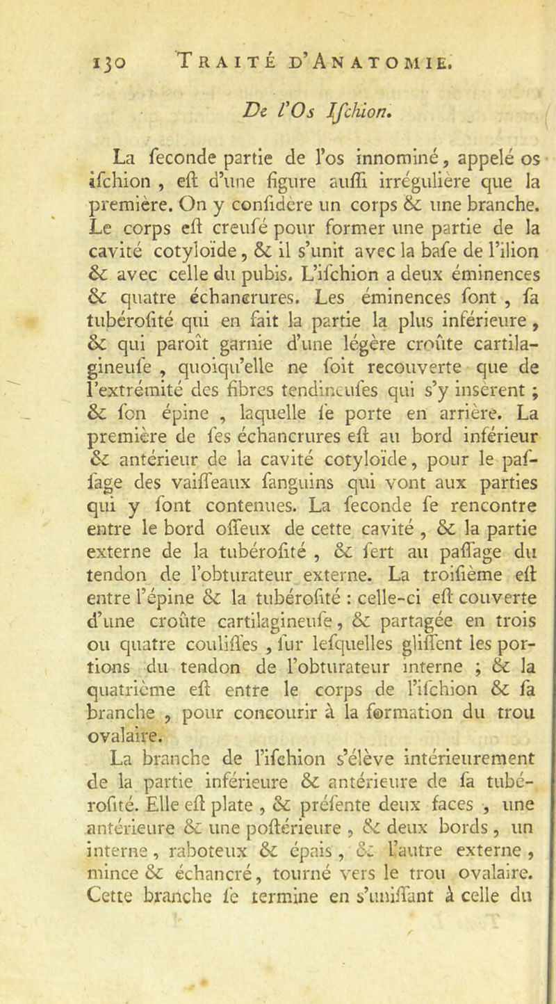 De rOs Ifchion» La fécondé partie de l’os innommé, appelé os ifchion , eft d’iine figure aiifli irrégulière que la première. On y confidère un corps & une branche. Le corps eft creufé pour former une partie de la cavité cotyloïde, & il s’unit avec la bafe de l’ilion & avec celle du pubis. L’ifchion a deux éminences & quatre échancrures. Les éminences font , fa tubérofité qui en fait la partie la plus inférieure, & qui paroît garnie d’une légère croûte cartila- gineufe , quoiqu’elle ne foit recouverte que de l’extrémité des fibres tendineufes qui s’y insèrent ; &; fon épine , laquelle fe porte en arrière. La première de les échancrures eft au bord inférieur antérieur de la cavité cotyloïde, pour le paf- fage des vaiffeaux fanguins qui vont aux parties qui y font contenues. La fécondé fe rencontre entre le bord offeux de cette cavité , & la partie externe de la tubérofité , &; fert au paftage du tendon de l’obturateur externe. La troifième eft entre l’épine & la tubérofité : celle-ci eft couverte d’une croûte cartilagineufe, & partagée en trois ou quatre couliflès , fur lefquelles glilîcnt les por- tions du tendon de l’obturateur interne ; bc la quatrième eft entre le corps de l’ifchion & fa branche , pour concourir à la formation du trou ovalaire. La branche de l’ifchion s’élève intérieurement de la partie inférieure & antérieure de fa tubé- rofité. Elle eft plate , & préfente deux faces , une antérieure & une poftérieure , deux bords , un interne, raboteux & épais, bz l’autre externe , mince & échancré, tourné vers le trou ovalaire. Cette branche fc termine en s’iiniftant à celle du