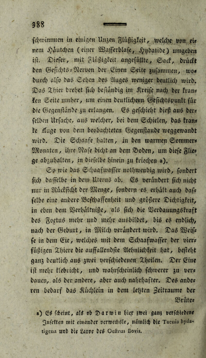 fd) mint tuen in einigen Un^en glußt^Fcit, welche bctt et* nem #dutd)en (einer SBaflerblafe, .fppbatibe) umgeben tg. tiefer, mit glußigfeit angcfulltc, 0acf, brüeft ben ©eftd)ts ? Heroen bei* CErinen Seite $ufammcn, wo* burd) alfo baS Sehen beS SlugcS weniger beutlid) wirb. &hier tretet ftd; begdnbig im greife nad) ber frans len Seite umher, um einen beutlid;ern (^ftchtSpunft für bie ©egenganbe^u erlangen. ©S gcfd)tel)t bieg aus ber* felben Urfad)e, auS welcher, bei bem 0dreien, baS frans fe iluge oon bem beobad)teten ©egengaube weggewanbt wirb. Sie Sd)rtafc halten/ in ben warmen Sommer* Monaten, ihre Stfafe bid;t an bem 3$oben, um biefe glie* ge ab^ubalten, in biefelbe hinein fried;en a). 0jo wie baS Sd;aafwajfer nothwenbig wirb, fonbert ftd) baffelbe in bem Uterus ab. ©S oerdnbert ftd) nicht nur in 9ftucfftd)t ber 93icnge, fonbern es erhalt aud) baf* felbe eine anbere 33cfd)affenheit unb größere Sid)tigfett, in eben bem Serhaltniße, als ftd) bie 33crbauungSfraft beS goctuS mehr unb mehr auSbilbet, bis cS enblid>, nad) ber ©eburt, in SDtild) oerdnbert wirb. SaS 2£etf* fe in bem ©ie, weld)eS mit bem Sd)aafwaffer ber otcr* fußigen ^htei'e bie auftallenbfre 2lehnlid)feit fyat, begeht ganj beutlid) auS $wei ocrfd)iebc»cn feilen. Ser ©ine ig mehr flebricht, unb wahrfd)cinlid) fd)werer $u oer* bauen, als ber anbere, aber aud) nahrhafter. SeS anbe* ren bebarf baS $ud)lcin in bem lebten Scttramrtc ber 33 r utes a) ©g febeint, al$ ob Sanvitt hier jtrei ganj rerfebiebene 3nfcften mit einanber rertrecbgle, ndmlidj bie Taenia byda- tigena unb bie Starre bcg Oeßrus Bovis.