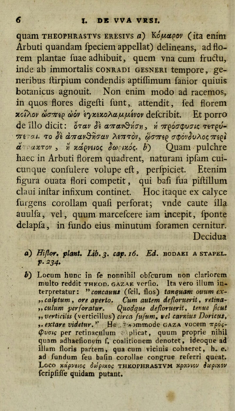 quam THEOPHRASTVs EREsivs o) KojucLpov (ita enim Arbuti quandam fpeciem appellat) delineans, ad flo- rem plantae fuae adhibuit, quem vna cum frudtu, inde ab immortalis conradi gesneri tempore, ge- neribus ftirpium condendis aptiffimum fanior quiuis botanicus agnouit. Non enim modo ad racemos, in quos flores digefti funt,. attendit, fed florem xcT?^ov ^a7^^p (iov i'y)iix.o?^ci.juy/ivov defcribit. Et porro de illo dicit: orav SI cLTrctv&amp;iicry}, « 7rp6a(pv7iQ nrpo- TTi rai. <To Se dTrcivS-yi^av Mvttov, ^77rfp 7(p6vSvAo^ Tnpi d - axrov , w zdpveioc; Sco^moc;. b') Quam pulchre haec in Arbuti florem quadrent, naturam ipfam cui- cunque confulere volupe eft, perfpiciet Etenim figura ouata flori competit, qui bafi fua piftillum claui inftar infixum continet. Hoc itaque ex calyce furgens corollam quafi perforat; vnde caute illa auulfa, vel, quum marcefcere iam incepit, fponte delapfa, in fundo eius minutum foramen cernitur. Decidua <i) Hifiqr, ptanU Lib.3. cap,i6. Ed. bodaei a stapel. p. 234, l>) Locum hunc in fe nonnihil obfcurum non clariorem multo reddit theod. gazae verfio. Ita vero illum in- terpretatur: ”co«ca««i (fcil, flos) tanquant ouuw ex- ,,calptum, ore aperto. Cum autem defloruerit, retina- ,, culum perforatur. Qluodque defloruerit, tenue ficut „verticilis (verticillus) circa fufum^ vel carnius Doricus, extare videtur.*' Ha ..■^ vammode gaza vocem Tcpo^- (pvotc per retinacjtflum c plicat, quum proprie nihil quam adhaeflonetn fl coalitioriem denotet, ideoque ad illam floris partem, qua cum vicinis cohaeret, h. e. ad fundum feu bafin corollae congrue referri queat. Loco xocpvsioc StVpiHOC THEOPHKASTVM XpKViOV ioupiXiV fcriplifle quidam putant.