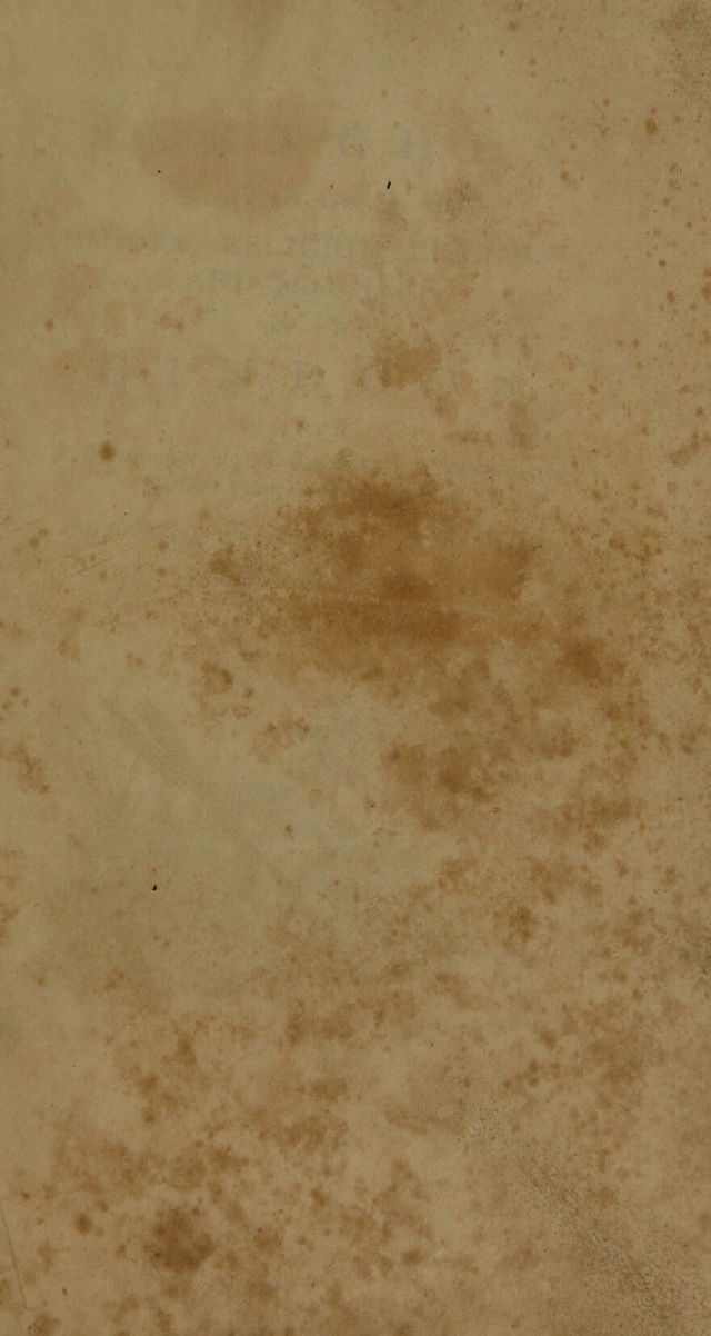 digitised image 3
