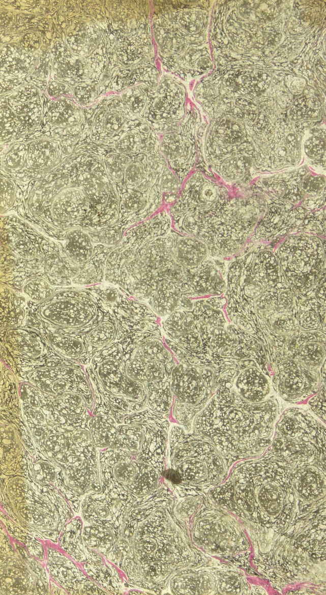 digitised image 2