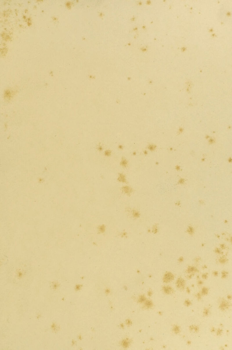 'Hfr' . ♦ ♦' # * * k 4 '■ jgt 4 - » - w » !* i I * *