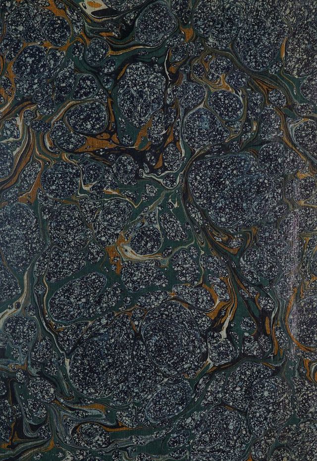 digitised image 3
