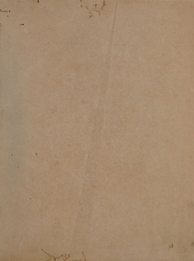 digitised image 3