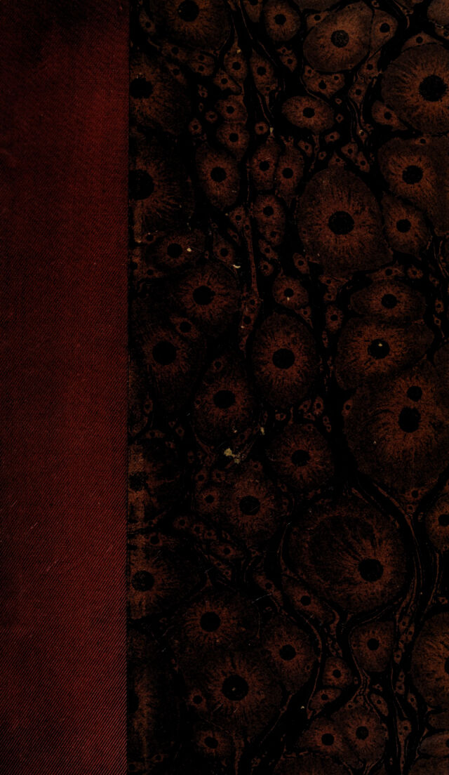 digitised image 1