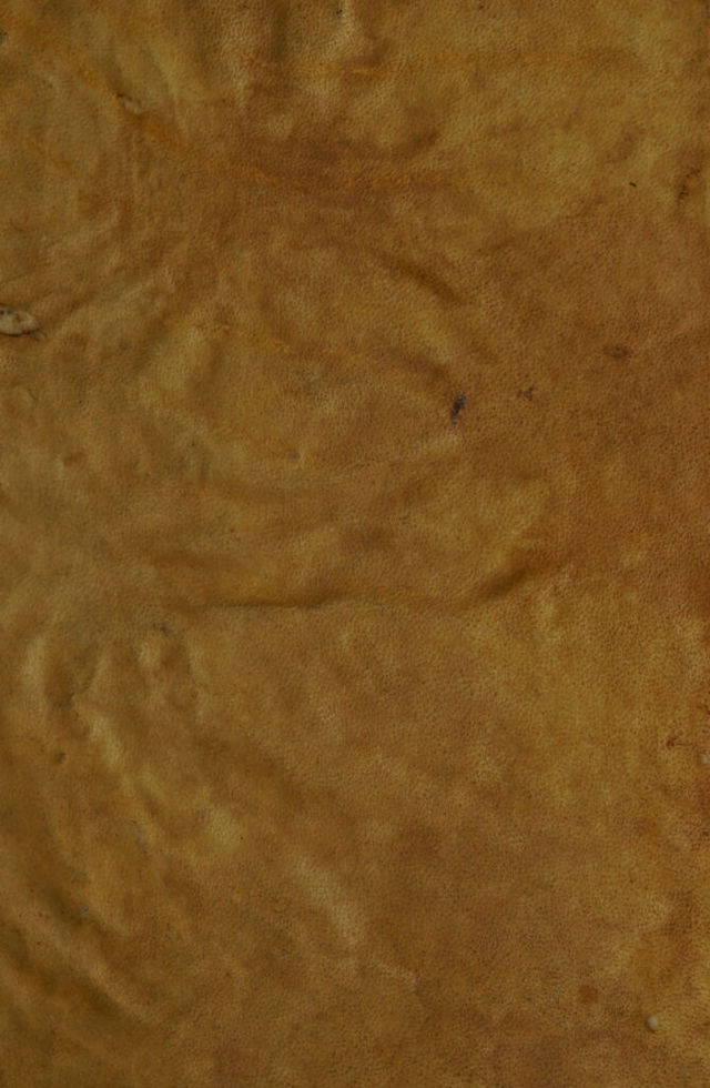 No text description is available for this image