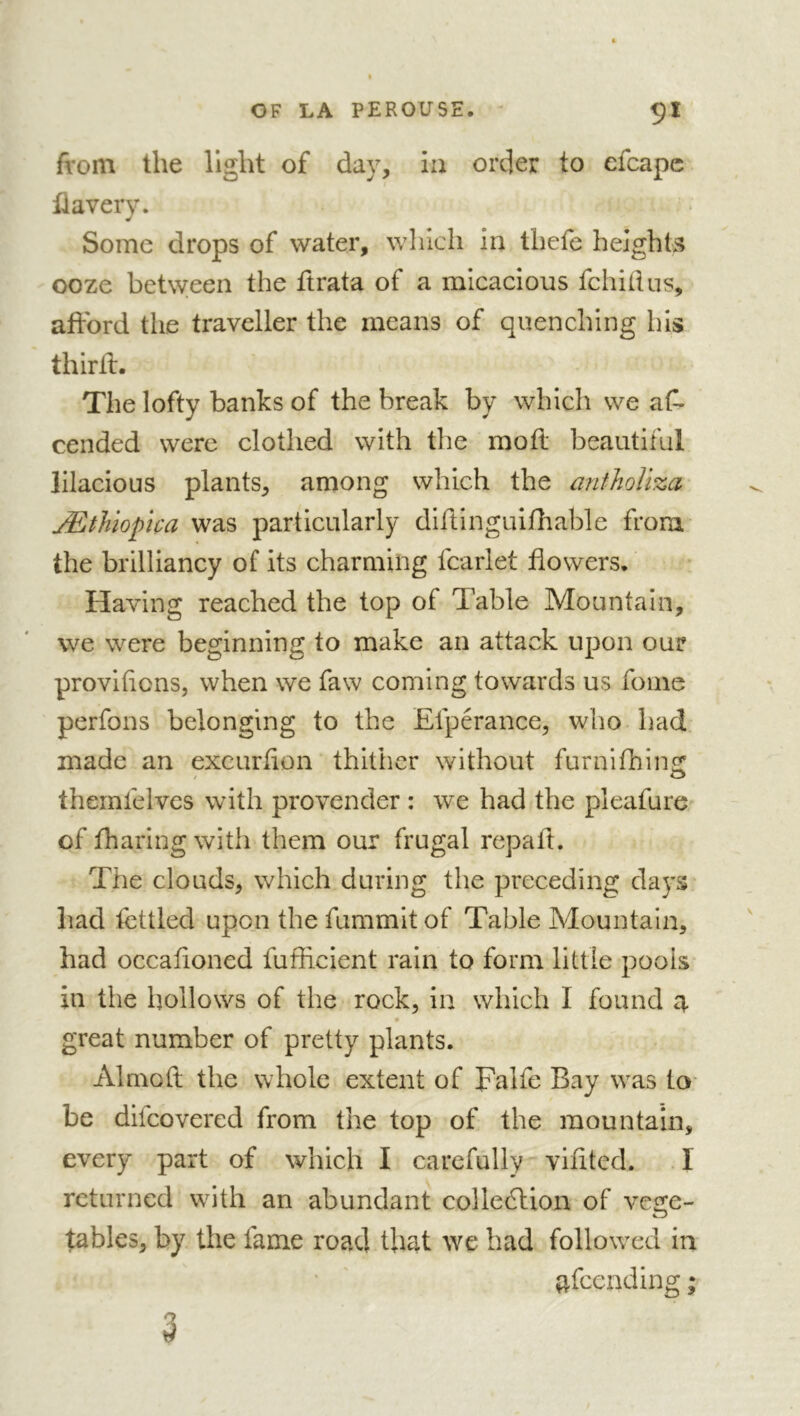 from the light of day, ia order to efcapc fia very. Some drops of water, which in thefe heights ooze between the ftrata of a micacious fchhlus, afford the traveller the means of quenching his third:. The lofty banks of the break by which we as- cended were clothed with the mofl beautiful lilacious plants, among which the antholiza Æthiopïça was particularly dlftinguiniable from the brilliancy of its charming fcarlet flowers. Having reached the top of Table Mountain, we were beginning to make an attack upon our provlflons, when we faw coming towards us foine perfons belonging to the Elperance, who had made an excurfion thither without furnifhing: themfelvcs with provender : we had the pleafure of fharing with them our frugal repaft. The clouds, which during the preceding days had fettled upon the fummlt of Table Mountain, had occafloned fuflicient rain to form little pools in the hollows of the rock, in which I found q. great number of pretty plants. Almoft the whole extent of Falfe Bay was to- be dilcovered from the top of the mountain, every part of which I carefully vifited. I returned wdth an abundant colleélion of vege- tables, by the fame road that we had followed in qfeending 3