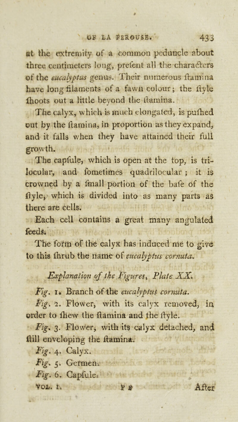 at thè extremity of a common peduncle about three centimeters long, prefent all the charadfcrs of the eucalyptus genus. Their numerous fbimina have long filaments of a fawn colour ; the flyle Ihoots out a little beyond the fiamina. The calyx, which is much elongated, is pufiied out by the fiamina, in proportion as they expand, and it falls v/hen they have attained their full The capfule, which is open at the top, is tri- locular, and fometimes quadrilocular ; it is crowned by a final I portion of the bafe of the fiylcj* which is divided into as many parts as there are cells. Each cell contains a great many angulated feedSi The form of thé calyx has induced mé to give to this Ihrub the name of eucalyptus cornuta. Explanation of the .Figures^ Plate XX. Fig. I* Branch of the eucalyptus cornuta. Fig'. 2. Flower,' with its calyx removed, in order to ftlew the fiamina ^and the fivle. Fig. 3. Flower, with its calyx detached, and flill enveloping the ftaminav ^ Fig. 4. Calyx. 5* Germeni Fig. 6. Capfule« VOL. I, ^ After