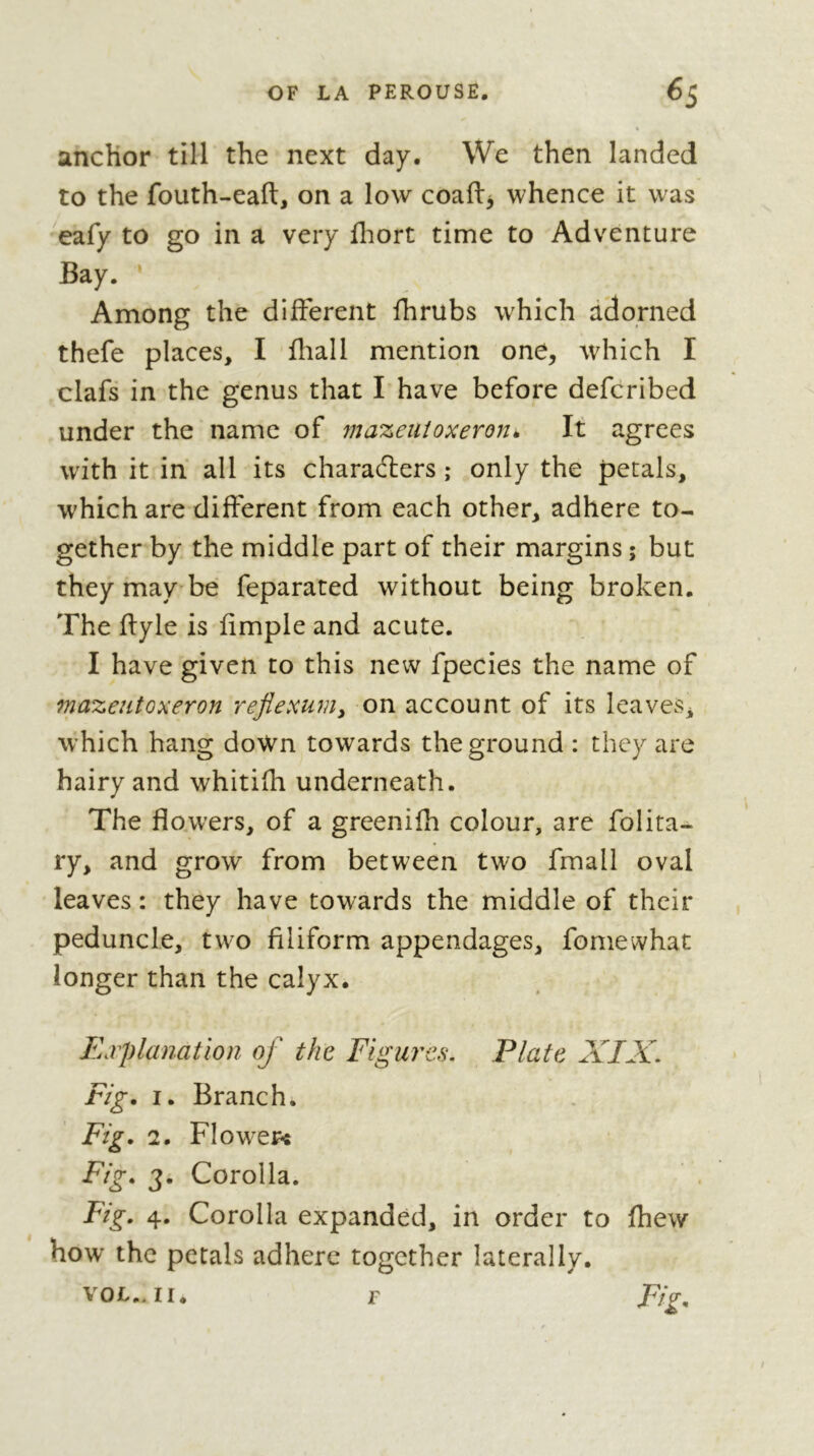 ancKor till the next day. We then landed to the fouth-eaft, on a low coaftj whence it was eafy to go in a very fliort time to Adventure Bay. Among the different fhrubs which adorned thefe places, I fliall mention one, which I clafs in the genus that I have before defcribed under the name of mazeiiioxeron^ If agrees wdth it in all its charadlers ; only the petals, which are different from each other, adhere to- gether by the middle part of their margins ; but they may be feparated without being broken. The flyle is fimple and acute. I have given to this new fpecies the name of mazentoxeron reflexum^ on account of its leaves^ which hang doWn towards the ground : they are hairy and whitifh underneath. The flowers, of a greenilh colour, are folita- ry, and grow from between two fmall oval leaves : they have towards the middle of their peduncle, two filiform appendages, fomewhat longer than the calyx. Explanation of the Figures. Plate XIX. Fig, I, Branch. Fig. 2. Flow'etvs Fig, 3. Corolla. Fig. 4. Corolla expanded, in order to fhew how the petals adhere together laterally. VOL.. II, r