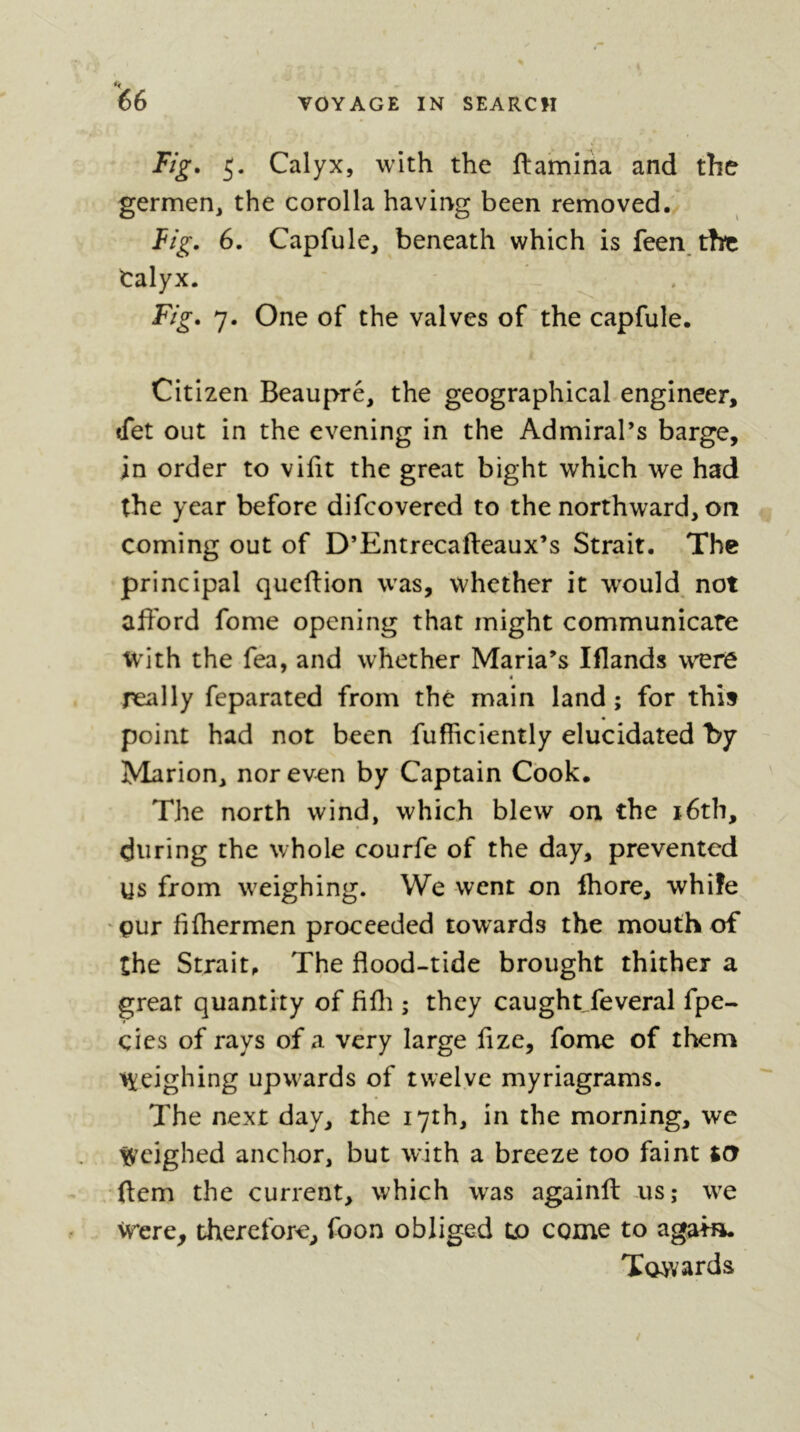 l66 VOYAGE IN SEARCH Fig, 5. Calyx, with the ftamiria and the germen, the corolla having been removed. fig. 6. Capfule, beneath which is feen. the talyx. Fig, 7. One of the valves of the cap fuie. Citizen Beaupré, the geographical engineer, Jet out in the evening in the Admiral’s barge, in order to vifit the great bight which we had the year before difcovered to the northward, on coming out of D’Entrecafteaux’s Strait. The principal qucftion was, whether it w^ould not aftbrd fome opening that might communicate with the fea, and whether Maria’s Iflands wre « really feparated from thé main land ; for this point had not been fufiiciently elucidated by Marion, nor even by Captain Cook. The north wind, which blew on the i6th, during the whole courfe of the day, prevented Vjs from weighing. We went on Ihore, whiîe 'çur hfhermen proceeded towards the mouth of the Strait, The flood-tide brought thither a great quantity of flfli ; they caught^feveral fpe- cies of rays of a very large flze, fome of them weighing upwards of twelve myriagrams. The next day, the 17th, in the morning, we Weighed anchor, but with a breeze too faint to flem the current, which was againft us; we Were^ therefore^ foon obliged to come to again. Towards