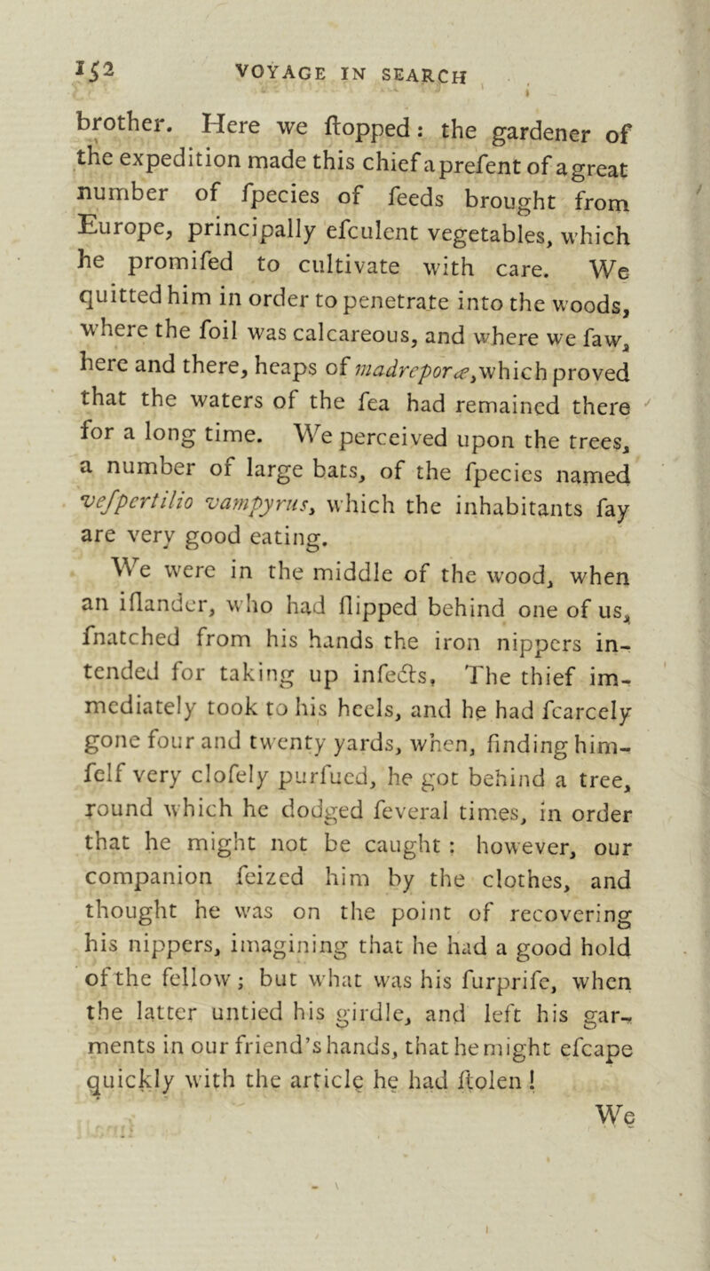 ' > brother. Here we flopped: the gardener of the expedition made this chief aprefent of agreat number of fpecies of feeds brought from Europe, principally efculent vegetables, which he promifed to cultivate with care. We quitted him in order to penetrate into the woods, where the foil was calcareous, and where we faw, here and there, heaps of niaàrepor<eproved that the waters of the fea had remained there for a long time. We perceived upon the trees, a number of large bats, of the fpecies named vefpertilio vanipyrus, which the inhabitants fay are very good eating. We were in the middle of the w'ood, when an idandcr, who had flipped behind one of us„ fnatched from his hands the iron nippers in- tended for taking up infedls, The thief im- mediately took to his heels, and he had fcarcely gone four and twenty yards, when, finding him- felf very clofely purfued, he got behind a tree, round which he dodged feveral times, in order that he might not be caught : however, our companion feized him by the clothes, and thought he was on the point of recovering his nippers, imagining that he had a good hold of the fellow ; but what was his furprife, when the latter untied his girdle, and left his gar^ ments in our friend’s hands, that he might efcape quickly with the article he had ftolen ! We - \