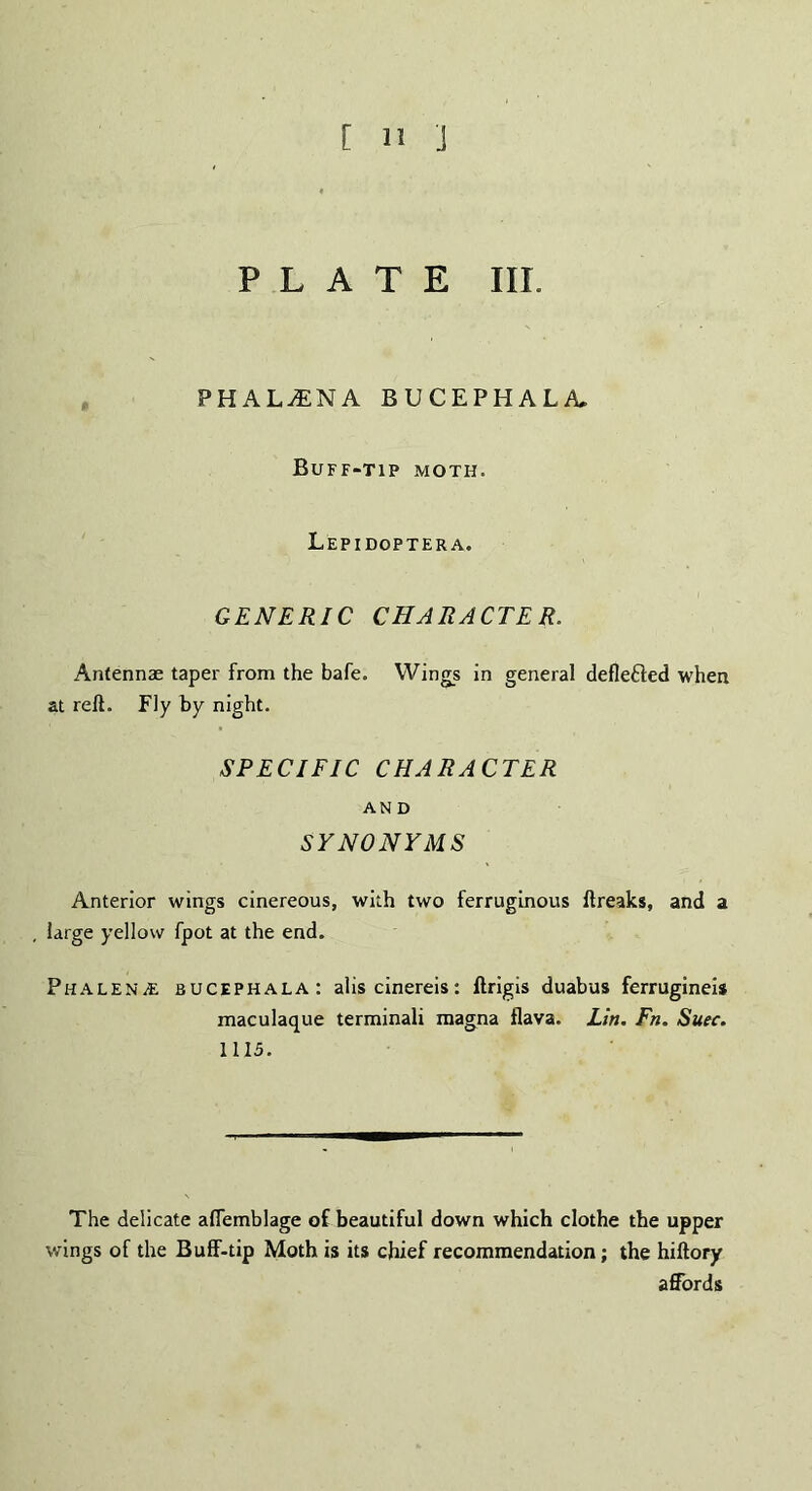 PLATE III. PHALANA BUCEPHALA. Buff-tip moth. Lepidoptera. GENERIC CHARACTER. Antennae taper from the bafe. Wings in general defle&ed when at reft. Fly by night. SPECIFIC CHARACTER AND SYNONYMS Anterior wings cinereous, with two ferruginous ftreaks, and a large yellow fpot at the end. Phalen/E bucephala: alis cinereis: ftrigis duabus ferrugineis maculaque terminali magna flava. Lin. Fn. Suec. 1115. The delicate aflemblage of beautiful down which clothe the upper wings of the Buff-tip Moth is its chief recommendation; the hiftory affords