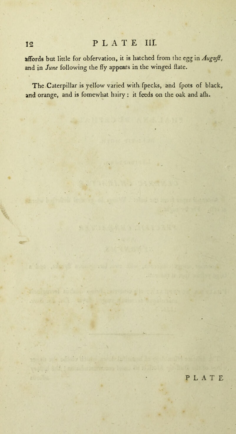 PLATE XU. affords but little for obfervation, it is hatched from the egg in Augitfi, and in June following the fly appears in the winged Hate. The Caterpillar is yellow varied with fpecks, and fpots of black, and orange, and is fomewhat hairy : it feeds on the oak and afh.