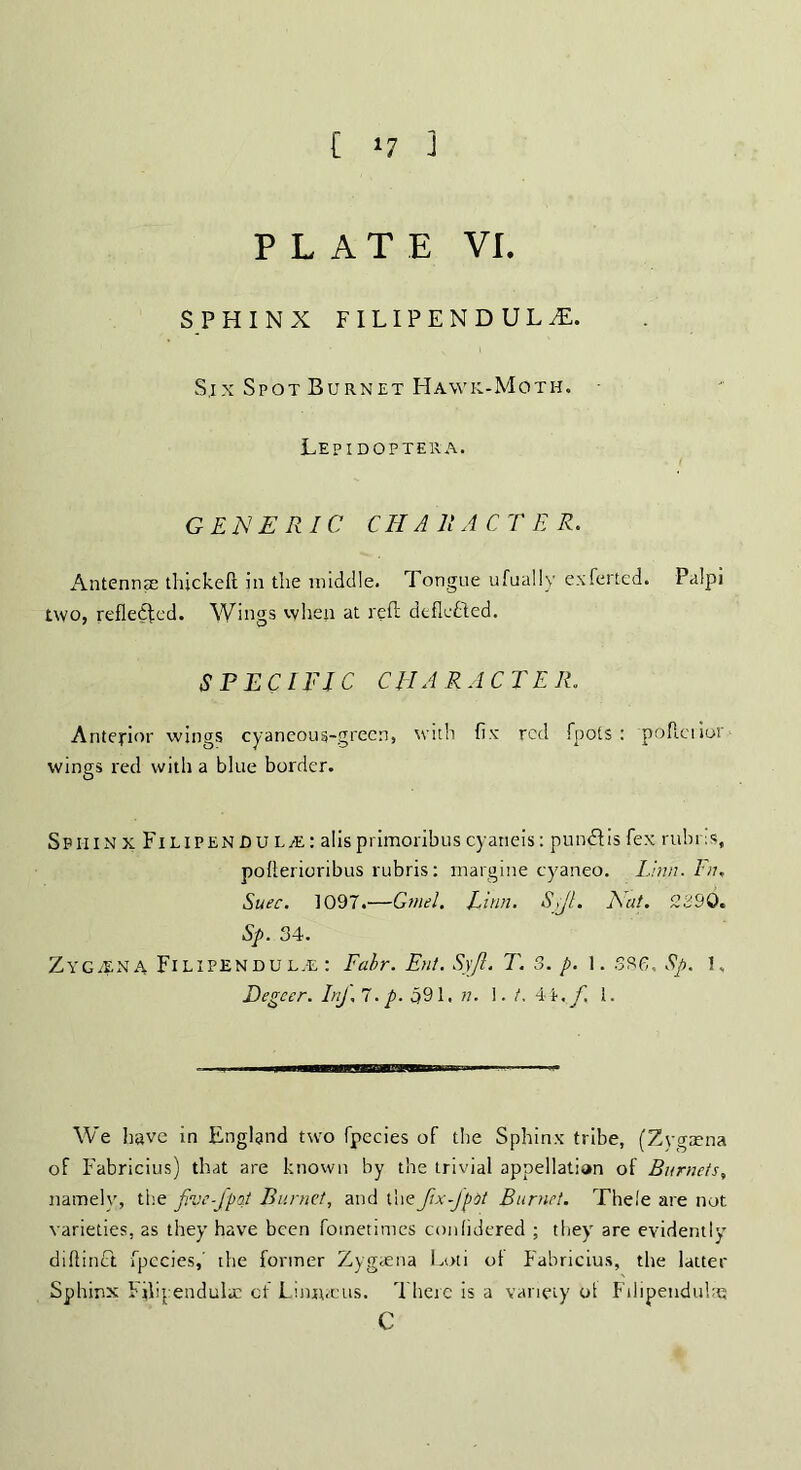 C *7 J PLATE VL SPHINX FILIPENDULiE. Six Spot Burnet Hawk-Moth. Lepidoptera. GENERIC CHARACTER. Antennae thickeft in the middle. Tongue ufually ex ferted. Palpi two, reflected. Wings when at reft deflefted. SPECIFIC CHARACTER. Anterior wings cyaneous-grecn, with fix rod fpots : pofletior wings red with a blue border. SphinxFilipenduL/E: alls primoribus cyaneis: pundlis fex rubns, poflerioribus rubris: margine cyaneo. Linn. Fn, Suec. 1097.—Gmel. Linn. SiJL But. 2390. Sp. 34. ZYGiENA Fl LI PEN DU L;E : Fair. Ent. Syfl. T. 3. p. 1. S3 6. Sp. !. Degeer. InJ.7. p. 591. n. \.t.\'b,f. 1. We have in England two fpecies of the Sphinx tribe, (Zygaena of Fabricius) that are known by the trivial appellation of Burnet s, namely, the five-fpat Burnet, and theJixfpot Burnet. Thele are not varieties, as they have been fometimes conlidered ; they are evidently diflinct fpecies,' the former Zygaena Loti of Fabricius, the latter Sphinx Fjlipendulic of Liniucus. There is a variety of Filipendulas c