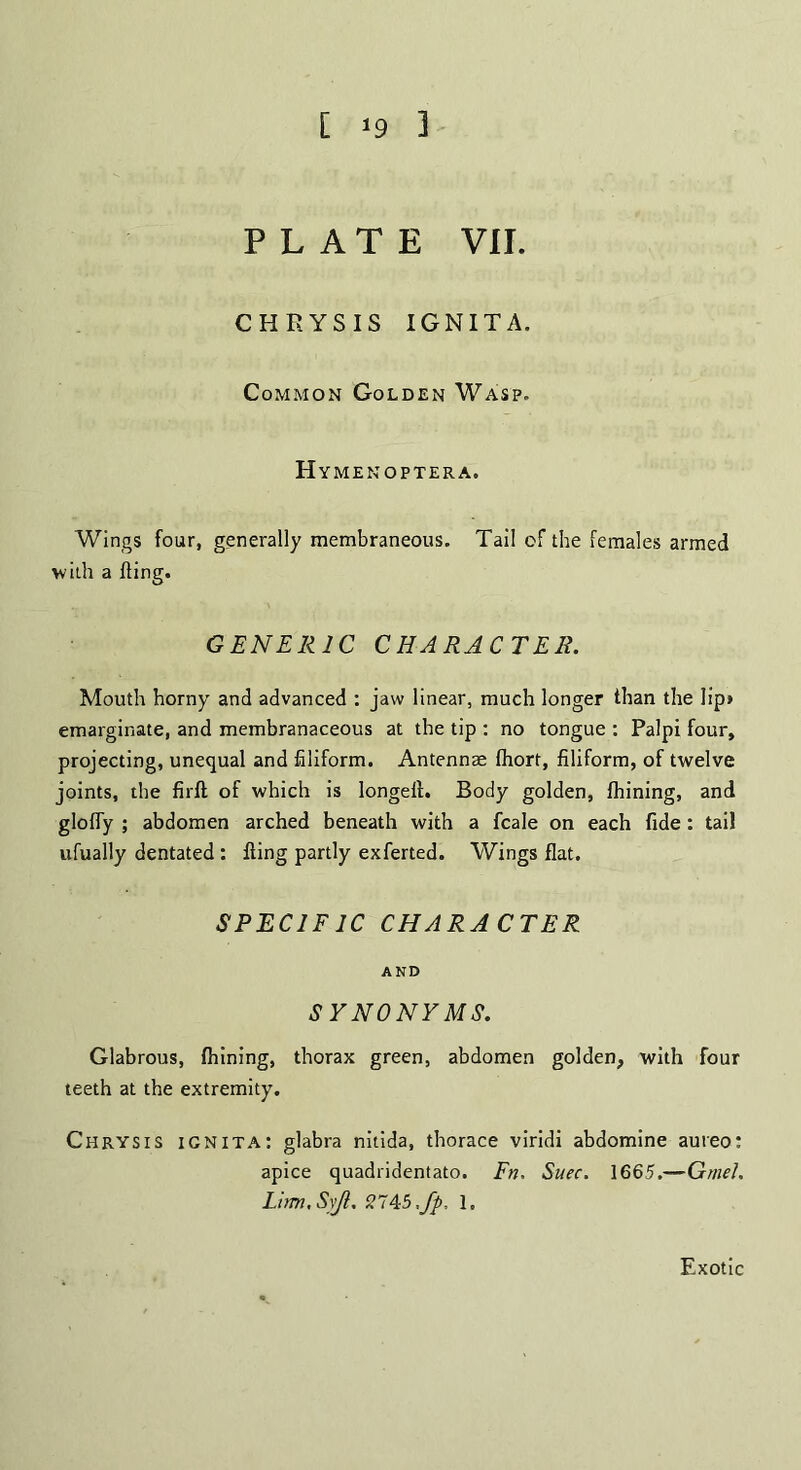 [ 3 PLATE VII. CHRYSIS IGNITA. Common Golden Wasp. Hymenoptera. Wings four, generally membraneous. Tail of the females armed with a fling. GENERIC CHARACTER. Mouth horny and advanced : jaw linear, much longer than the Iip» emarginate, and membranaceous at the tip : no tongue : Palpi four, projecting, unequal and filiform. Antennae fhort, filiform, of twelve joints, the firfl of which is longell. Body golden, fhining, and gloffy ; abdomen arched beneath with a fcale on each fide : tail ufually dentated : fling partly exferted. Wings flat. SPECIFIC CHARACTER AND SYNONYMS. Glabrous, fhining, thorax green, abdomen golden, with four teeth at the extremity. Chrysis ignita: glabra nitida, thorace viridi abdomine aureo: apice quadridentato. Fn. Suec. 1665.—GrneJ. Lirm.SyJl. ‘214cb,fp, 1. Exotic