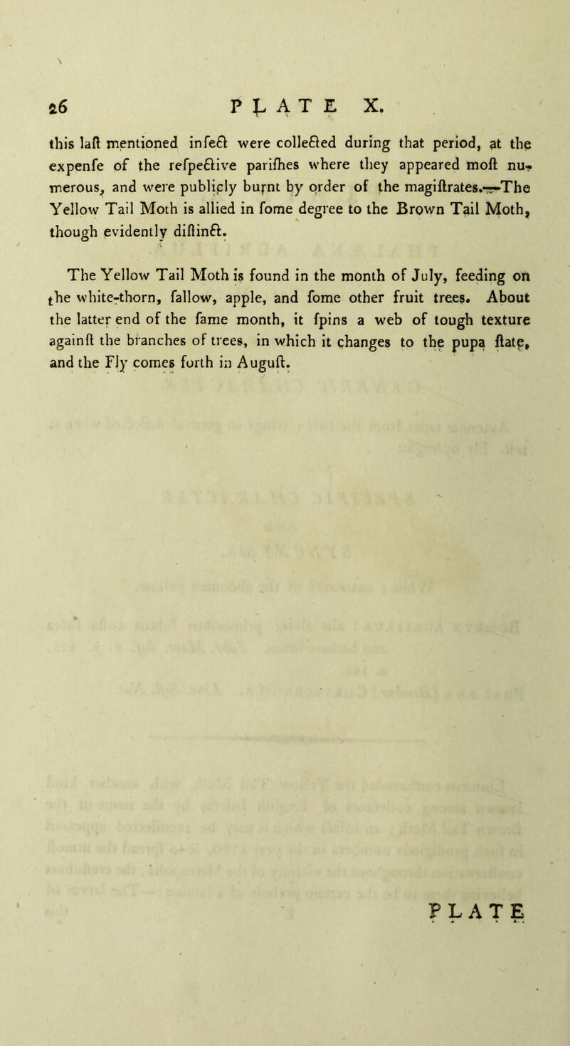 i6 P^ATE X. this lad mentioned infefl were colle&ed during that period, at the expenfe of the refpe&ive parifhes where they appeared moil nu- merous, and were publicly buj-nt by order of the magiftrates.rr-The Yellow Tail Moth is allied in fome degree to the Brown Tail Moth, though evidently diflinft. The Yellow Tail Moth is found in the month of July, feeding on the white-thorn, fallow, apple, and fome other fruit trees. About the latter end of the fame month, it fpins a web of tough texture againft the branches of trees, in which it changes to the pupa ftate, and the Fly comes forth in Augufl:.