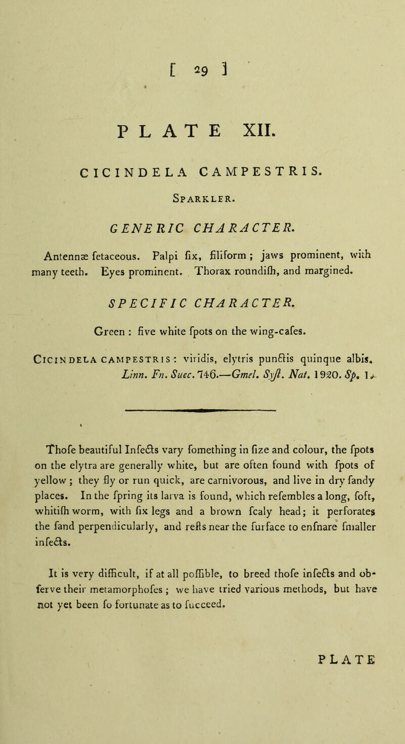 [ 29 3 PLATE XII. CICINDELA CAMPESTRIS, Sparkler. GENERIC CHARACTER. Antennae fetaceous. Palpi fix, filiform ; jaws prominent, with many teeth. Eyes prominent. Thorax roundilh, and margined. SPECIFIC CHARACTER. Green : five white fpots on the wing-cafes. Cicindela campestris-; viridis, elytris punftis quinque albis. Linn. Fn. Suec. 74*6.—Gmel. Syjl. Nat, 1920. Sp, 1 + Thofe beautiful InfetSls vary fomething in fize and colour, the fpots on the elytra are generally white, but are often tound with fpots of yellow ; they fly or run quick, are carnivorous, and live in dry fandy places. In the fpring its larva is found, which refembles a long, foft, whitifhworm, with fix legs and a brown fcaly head; it perforates the fand perpendicularly, and reflsnear the furface to enfnare fmaller infects. It is very difficult, if at all poffible, to breed thofe infefts and ob* ferve their metamorphofes ; we have tried various methods, but have not yet been fo fortunate as to fucceed.