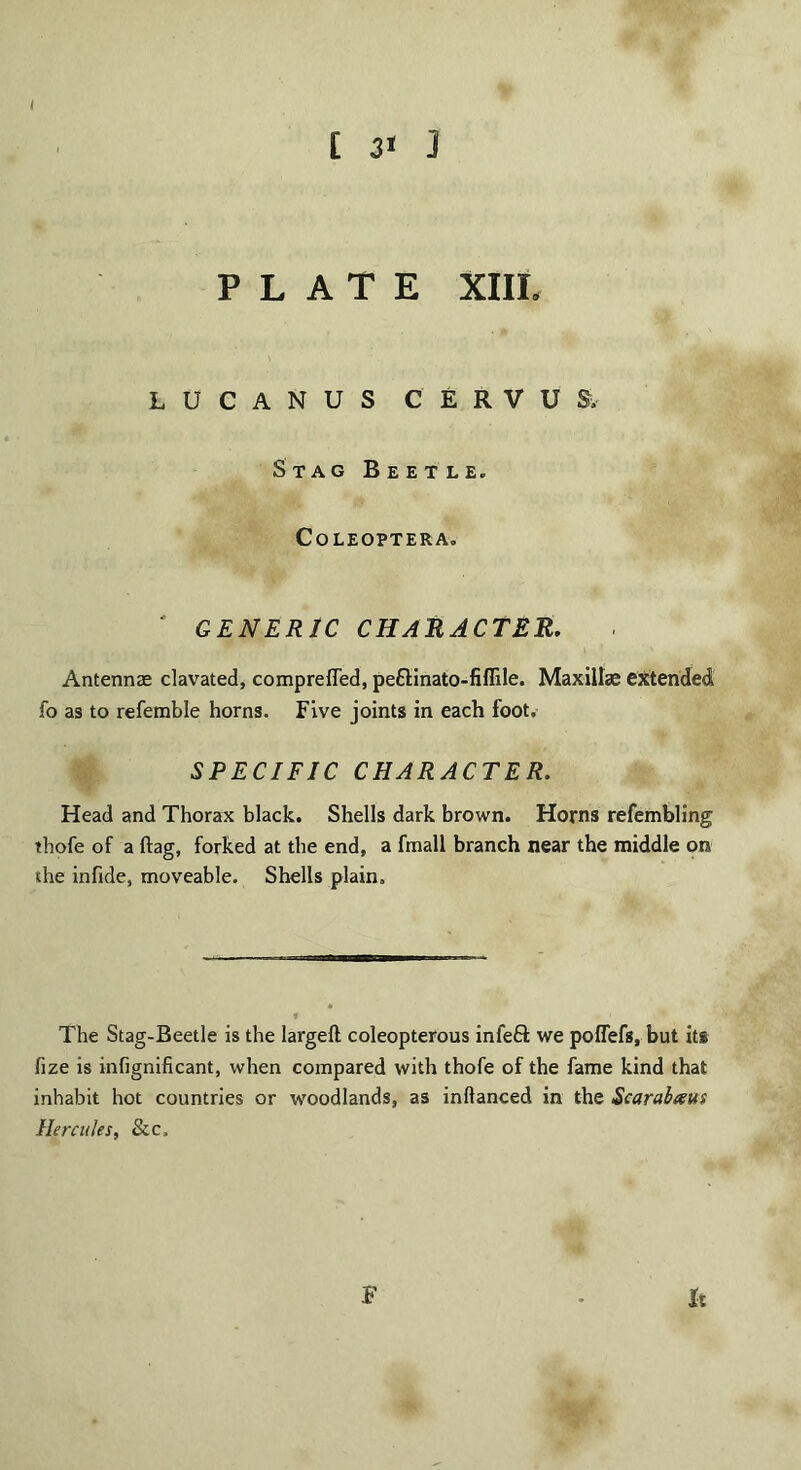 / PLATE XIIL LUCANUS CERVU& Stag Beetle. CoLEOPTERA. ' GENERIC CHARACTER. Antennae clavated, comprefled, peftinato-fiflile. Maxillae extended fo as to refemble horns. Five joints in each foot, SPECIFIC CHARACTER. Head and Thorax black. Shells dark brown. Horns refembling thofe of a flag, forked at the end, a fraall branch near the middle on the infide, moveable. Shells plain. The Stag-Beetle is the largeft coleopterous infeflt we poflefs, but its fize is infignificant, when compared with thofe of the fame kind that inhabit hot countries or woodlands, as inftanced in the Scarabseus Hercules, See, F It