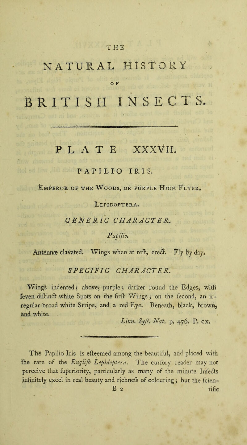 natural history O F BRITISH INSECTS. PLATE XXXVII. PAPILIO IRIS, FmPEROR OF THE WOODS, OR PURPLE HlGH FlYER, Lepiooptera. GENERIC CHARACTER. Papilio. Antennae clavated. Wings when at reft, erect. Fly by day. SPECIFIC CHARACTER. Wings indented; above, purple ; darker round the Edges, with feven diftin£b white Spots on the firft Wings ; on the fecona, an ir¬ regular broad white Stripe, and a red Eye. Beneath, black, brown, and white. Linn. Syji. Nat. p. 476. P. cx. . 'I rnym^m — m The Papilio Iris is efteemed among the beautiful, and placed with the rare of the Englijb Lepidoptera. The curfory reader may not perceive that fuperiority, particularly as many of the minute Infedts infinitely excel in real beauty and richnefs of colouring; but the fcien-