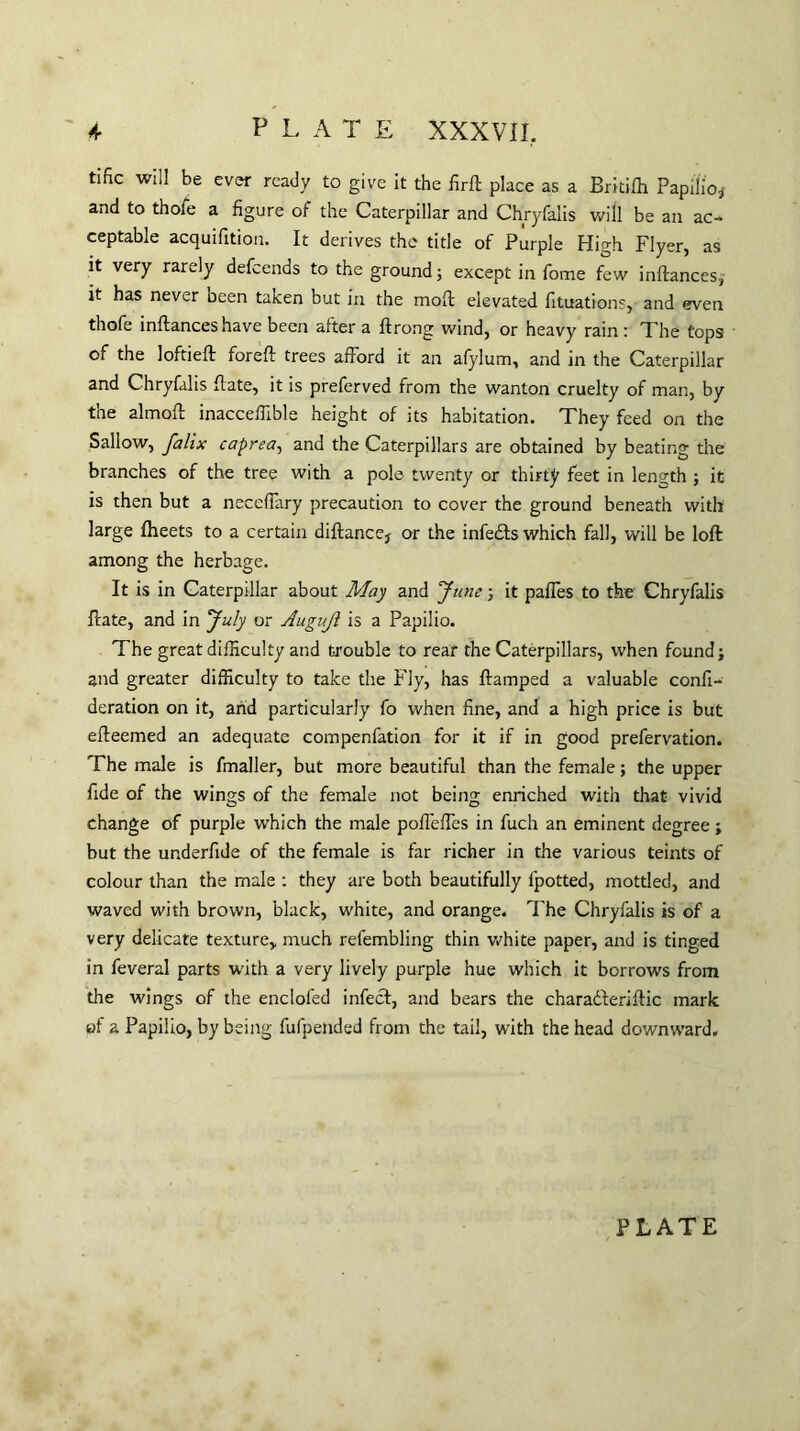 4 PLATE XXXVII. tific will be ever ready to give it the firft place as a Britifh Papilio,* and to thofe a figure of the Caterpillar and Chryfalis will be an ac¬ ceptable acquifition. It derives the title of Purple High Flyer, as it very rarely defcends to the ground; except in fome few inftances, it has never been taken but in the moft elevated lituations, and even thofe inftances have been after a ftrong wind, or heavy rain : The tops of the loftieft foreft trees afford it an afylum, and in the Caterpillar and Chryfalis ftate, it is preferved from the wanton cruelty of man, by the almoft inacceffible height of its habitation. They feed on the Sallow, Jalix caprea, and the Caterpillars are obtained by beating the branches of the tree with a pole twenty or thirty feet in length ; it is then but a necefiary precaution to cover the ground beneath with large fheets to a certain diftance* or the infedts which fall, will be loft among the herbage. It is in Caterpillar about May and June; it paffes to the Chryfalis ftate, and in July or Augijl is a Papilio. The great difficulty and trouble to rear the Caterpillars, when found; and greater difficulty to take the Ely, has ftamped a valuable confi- deration on it, arid particularly fo when fine, and a high price is but efteemed an adequate compenfation for it if in good prefervation. The male is fmaller, but more beautiful than the female; the upper fide of the wings of the female not being enriched with that vivid change of purple which the male pofteffes in fuch an eminent degree; but the underfide of the female is far richer in the various teints of colour than the male : they are both beautifully lpotted, mottled, and waved with brown, black, white, and orange. The Chryfalis is of a very delicate texture, much refembling thin white paper, and is tinged in feveral parts with a very lively purple hue which it borrows from the wings of the encloled infect, and bears the charadteriftic mark of a Papilio, by being fulpended from the tail, with the head downward.