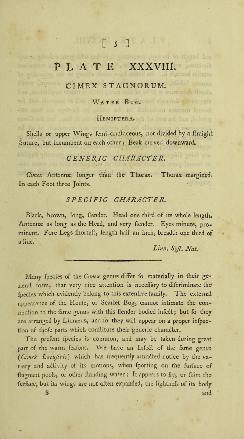 Plate xxxviii. CIMEX STAGNORUM. Water Bug. Hemiptera. Shells or upper Wings femi-crulfaceous, not divided by a ftraight Suture, but incumbent on each other; Beak curved downward. GENERIC CHARACTER. Cimex Antennae longer than the Thorax. Thorax margined. In each Foot three Joints. SPECIFIC CHARACTER. Black, brown, long, llender. Head one third of its whole length. Antennae as long as the Head, and very llender. Eyes minute, pro¬ minent. Fore Legs fhorteft, length half an inch, breadth one third of a line. Linn. Syji. Nat. Many fpecies of the Cimex genus differ fo materially in their ge-* heral form, that very nice attention is neceflary to difcriminate the fpecies which evidently belong to this extenfive family. 7 he external appearance of the Houfe, or Scarlet Bug, cannot intimate the con¬ nexion to the fame genus with this llender bodied infeX; but fo they are arranged by Linnaeus, and fo they will appear on a proper infpec- tion of thofe parts which conllitute their generic charaXer. The prefent fpecies is common, and may be taken during great part of the warm, feafons. We have an InfeX of the fame genus (Cimex Lacujiris) which has frequently aitraXed notice by the va¬ riety and aXivity of its motions, when fporting on the furface of ftagnant pools, or other Handing water : It appears to fly, or fkim the furface, but its wings are not often expanded, the lightnefs of its body 8 and
