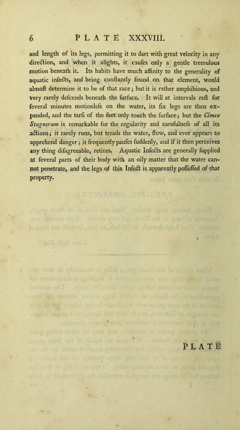 and length of its legs, permitting it to dart with great velocity in any direction, and when it alights, it caufes only a gentle tremulous motion beneath it. Its habits have much affinity to the generality of aquatic infedts, and being conftantly found on that element, would almoft determine it to be of that race; but it is rather amphibious, and very rarely defcends beneath the furface. It will at intervals reft for feveral minutes motionlefs on the water, its fix legs are then ex¬ panded, and the tarfi of the feet only touch the furface; but the Cimex Stagnorum is remarkable for the regularity and carefulnefs of all its a&ions; it rarely runs, but treads the water, flow, and ever appears to apprehend danger; it frequently paufes fuddenly, and if it then perceives any thing difagreeable, retires. Aquatic Infefts are generally fupplied at feveral parts of their body with an oily matter that the water can¬ not penetrate, and the legs of this Infedt is apparently poffefled of that property. »