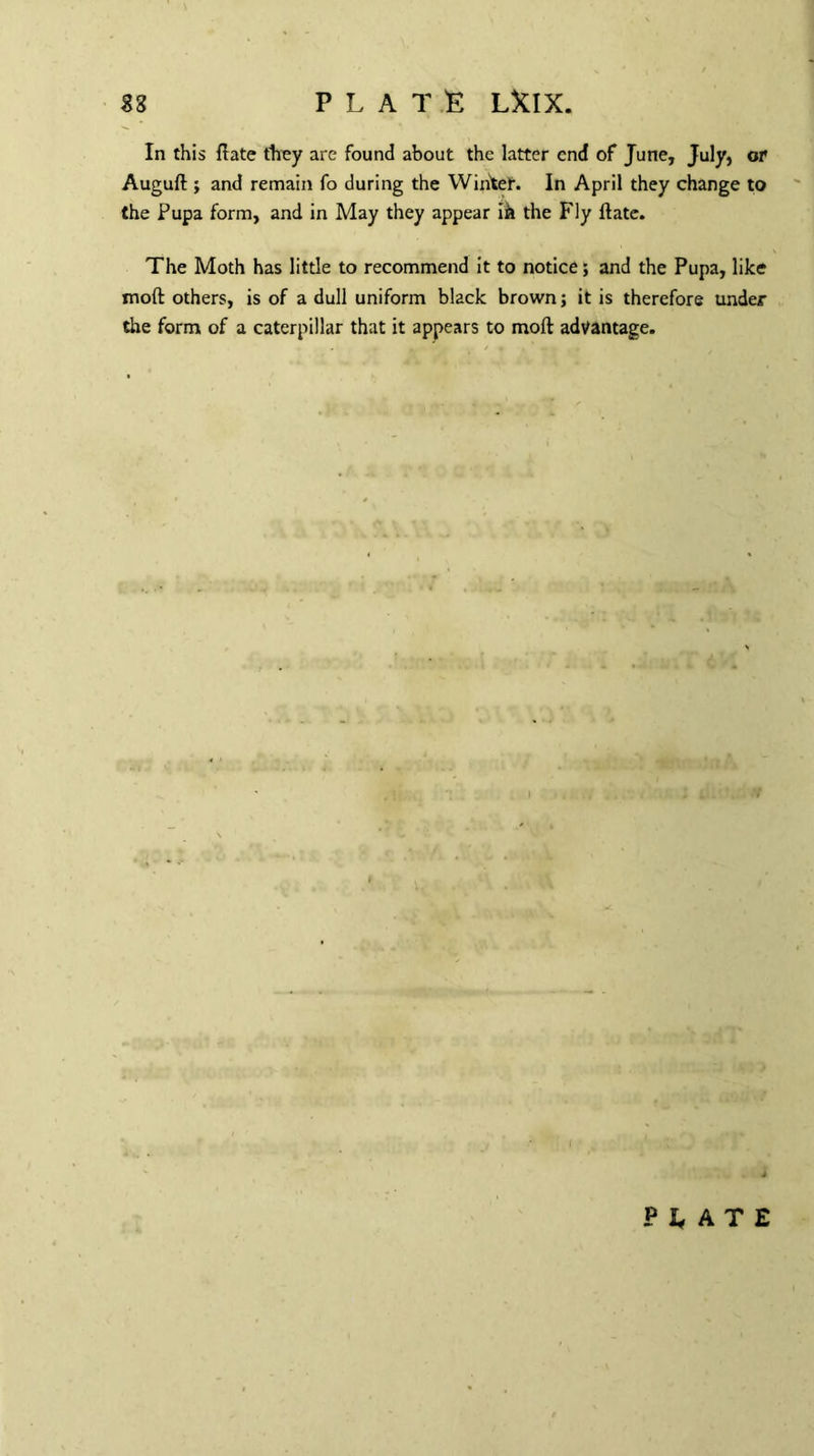 In this ftate they are found about the latter end of June, July, or Auguft ; and remain fo during the Whiter. In April they change to the Pupa form, and in May they appear iit the Fly ftate. The Moth has little to recommend it to notice; and the Pupa, like moft others, is of a dull uniform black brown; it is therefore under the form of a caterpillar that it appears to moft advantage. PUTE