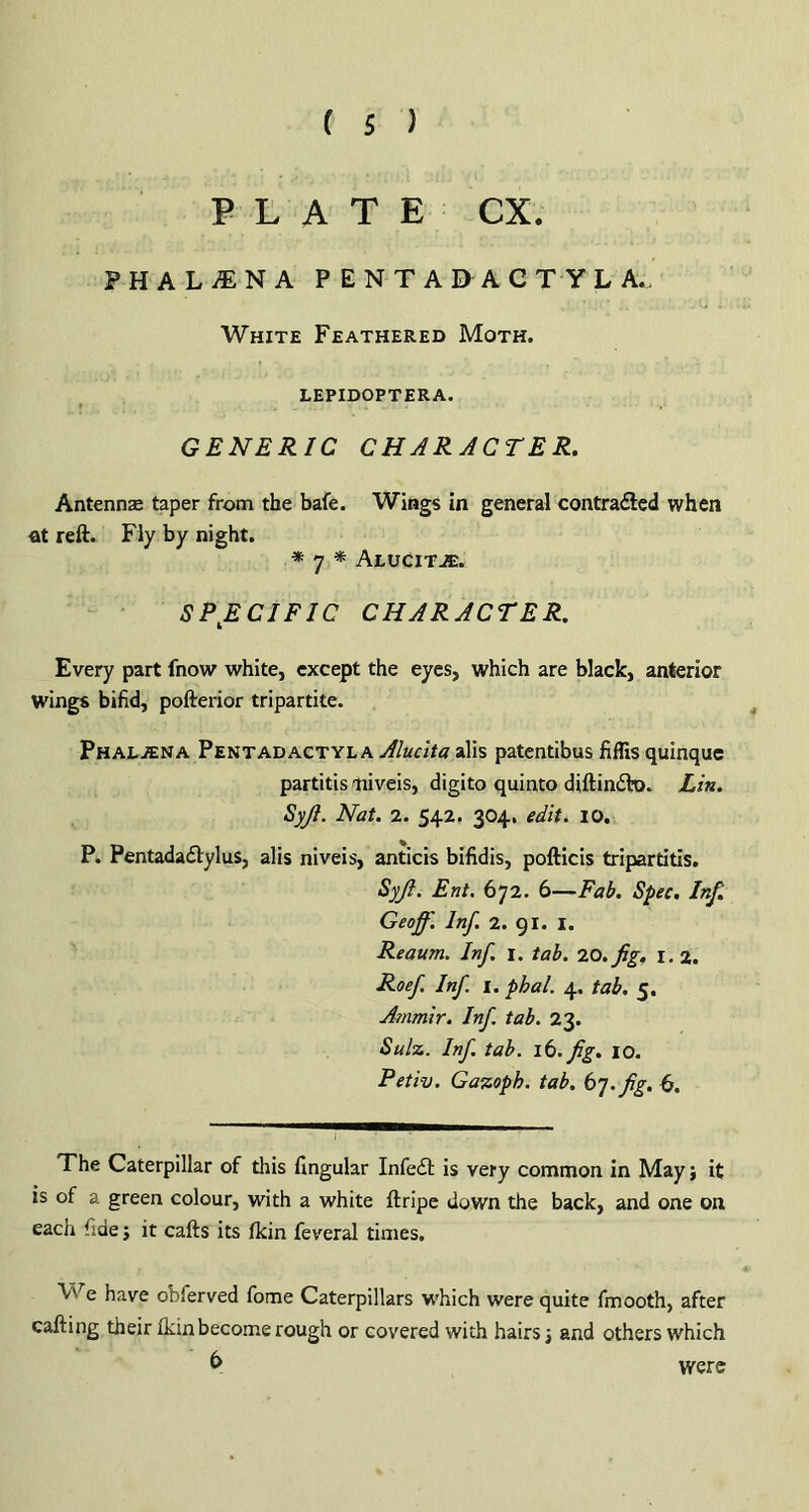 PLATE CX. PHALINA P ENT AD ACT YL A. White Feathered Moth. LEPIDOPTERA. GENERIC CHARACTER. Antennae taper from the bafe. Wings in general contracted when at reft. Fly by night. * 7 * ALUCiTiE. SPECIFIC CHARACTER. Every part fnow white, except the eyes, which are black, anterior Wings bifid, pofterior tripartite. Phaljena Pent ad act yea Aluclta alis patentibus fiflis quinque partitis miveis, digito quinto diftincto. Lin. Syfi. Nat. 2. 542. 304. edit. 10. P. Pentadactylus, alis niveis, anticis bifidis, pofticis tripartitis. Syfi. Ent. 672. 6—Fab. Spec. Inf. Geoff. Inf. 2. 91. 1. Reaum. Inf. 1. tab. 20. fig. 1. 2. Roef. Inf 1. phal. 4. tab. 5. Ammir. Inf tab. 23. Sulz. Inf. tab. lb. Jig. 10. Petiv. Gazopb. tab. b']. fig. 6. The Caterpillar of this lingular Infect is very common in May j it is of a green colour, with a white ftripe down the back, and one on each fide; it cafts its Ikin feveral times. We have obferved fome Caterpillars which were quite fmooth, after calling their Ikin become rough or covered with hairs j and others which 6 were