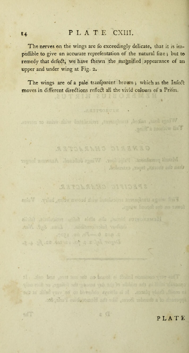 *4 The nerves on the wings are fo exceedingly delicate, that it is irn- pofiible to give an accurate reprefentation of the natural fize; but to remedy that defedt, we have (hewn the magnified appearance of an upper and under wing at Fig. 2. The wings are of a pale tranfparent brown; which as the Infedt moves in different directions refledt all the vivid colours of a Prifm.