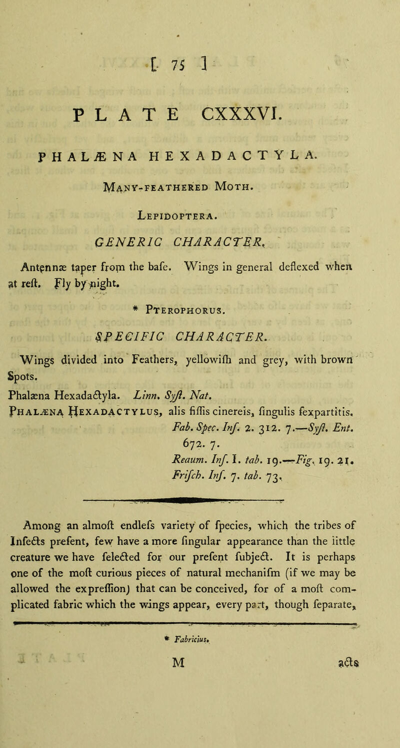 PHALINA HEXADACTYLA. Many-feathered Moth. Lepidoptera. GENERIC CHARACTER, Antpnnae taper fropi the bafe. Wings in general deflexed when at reft, fly by flight. * Pterophorus. SPECIFIC CHARACTER. Wings divided into Feathers, yellowifh and grey, with brown Spots. Phalaena Hexada&yla. Linn, Syjl. Nat. Phal^ena ^exadactylus, alis fiftis cinereis, fingulis fexpartitis. Fab. Spec. Inf. 2. 312. 7.—Syf. Ent. 672. 7. Reaum. Inf. I. tab. 19.—Fig. 19. 2\. Frifch. Inf. 7. tab. 73, -;-.. . . - Among an almoft endlefs variety of fpecies, which the tribes of Xnfeds prefent, few have a more fingular appearance than the little creature we have feleded for our prefent fubjed. It is perhaps One of the moft curious pieces of natural mechanifm (if we may be allowed the ex predion J that can be conceived, for of a moft com¬ plicated fabric which the wings appear, every part, though feparate. * Fabricius.