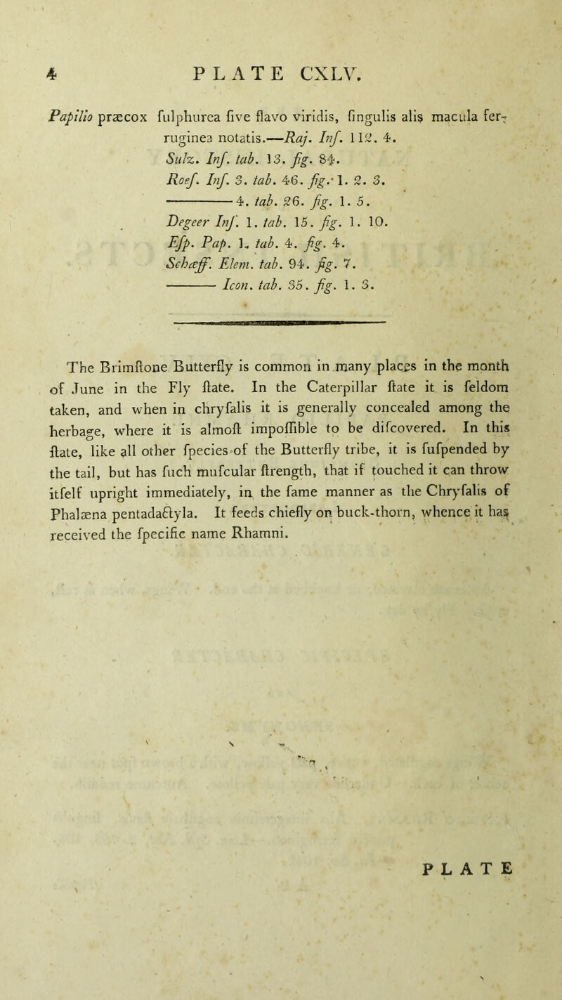 4 PLATE CXLV. Papilio praecox fulphurea five flavo viridis, fingulis alls macula fer? ruginea notatis.—Raj. Inf. 112. 4. Sulz. Inf. tab. 13. fig. 84. Roef. Inf. 3. tab. 46. fig.'l. 2. 3. --4. tab. 26. fig. 1.5. Degeer Inf. 1. tab. 15. fig. 1. 10. Efp. Pap. ]„ tab. 4. fig. 4. Schaff. Elem. tab. 94. fig. 7. - Icon. tab. 35. fig. 1. 3. The Brimfione Butterfly is common in many places in the month of June in the Fly ftate. In the Caterpillar ftate it is feldom taken, and when in chryfalis it is generally concealed among the herbage, where it is almoft impoffible to be difcovered. In this ftate, like all other fpecies of the Butterfly tribe, it is fufpended by the tail, but has fuch mufcular ftrength, that if touched it can throw itfelf upright immediately, in the fame manner as the Chryfalis of Phaltena pentadattyla. It feeds chiefly on buck-thorn, whence it has received the fpecific name Rhamni.