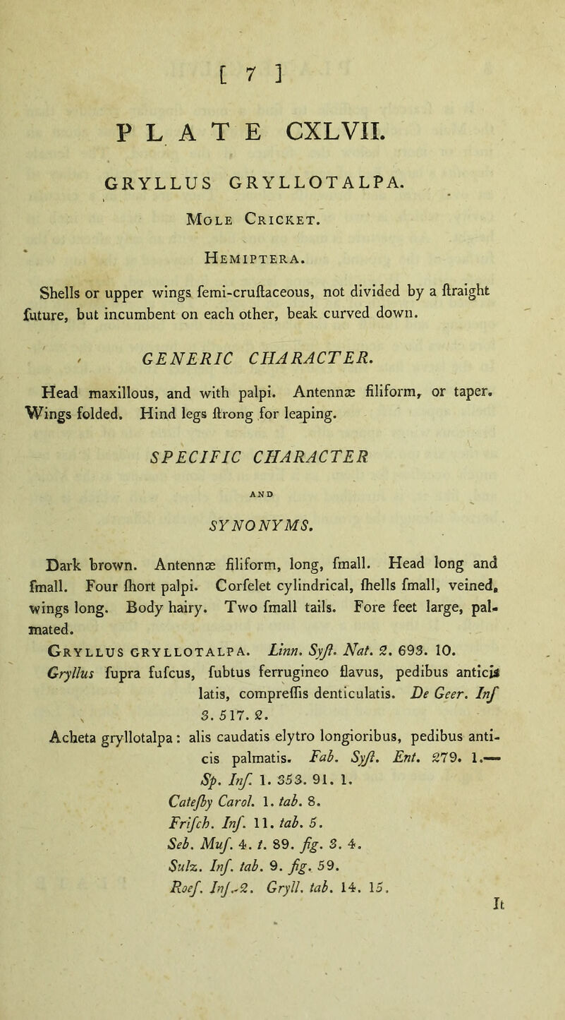 PLATE CXLVIL GRYLLUS GRYLLOTALPA. Mole Cricket. Hemiptera. Shells or upper wings femi-cruftaceous, not divided by a ftraight future, but incumbent on each other, beak curved down. / GENERIC CHARACTER. Head maxillous, and with palpi. Antennae filiform, or taper. Wings folded. Hind legs ftrong for leaping. SPECIFIC CHARACTER AND SYNONYMS. Dark brown. Antennas filiform, long, fmall. Head long and fmall. Four fhort palpi. Corfelet cylindrical, fhells fmall, veined, wings long. Body hairy. Two fmall tails. Fore feet large, pal- mated. Gryllus GRYLLOTALPA. Linn. Syfi. Nat. 2. 693. 10. Gryllus fupra fufcus, fubtus ferrugineo flavus, pedibus anticis latis, compreflis denticulatis. De Geer. Inf 3. 517. 2. Acheta gryllotalpa: alis caudatis elytro longioribus, pedibus anti- cis palmatis. Fab. Syfi. Ent. 279. 1.— Sp. Inf. 1. 353. 91. 1. Catejby Carol. 1. tab. 8. Frifch. Inf. 11. tab. 5. Seb. Muj. 4. t. 89. fig. 3. 4. Sulz. Inf. tab. 9. fig. 59. Roef. InJ^2. Gryll. tab. 14. 15. It