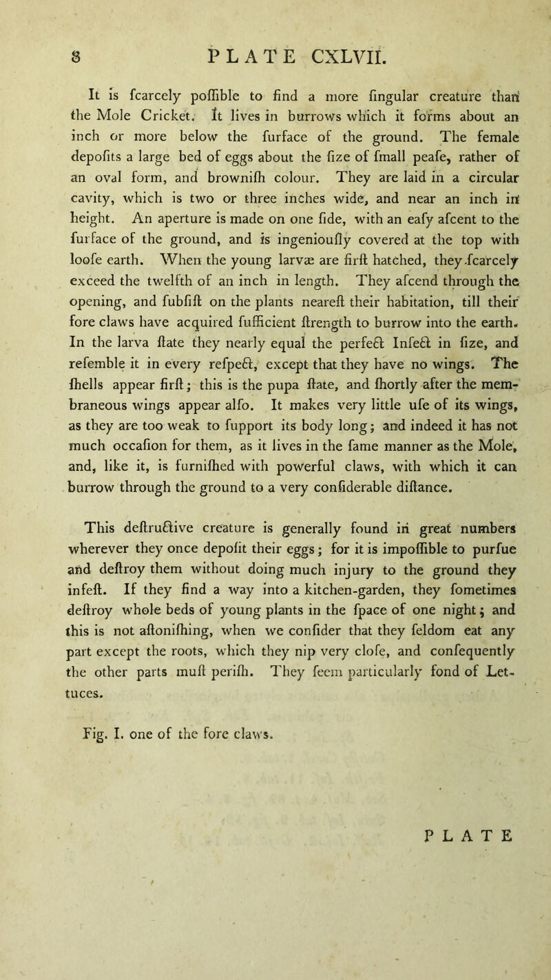 It is fcarcely poflible to find a more fingular creature than’ the Mole Cricket. It lives in burrows which it forms about an inch or more below the furface of the ground. The female depofits a large bed of eggs about the fize of fmall peafe, rather of an oval form, and brownifh colour. They are laid in a circular cavity, which is two or three inches wide, and near an inch inf height. An aperture is made on one fide, with an eafv afcent to the furface of the ground, and is ingenioufly covered at the top with loofe earth. When the young larvae are firft hatched, they-fcarcely exceed the twelfth of an inch in length. They afcend through the opening, and fubfift on the plants neareft their habitation, till their fore claws have acquired fufficient ftrength to burrow into the earth. In the larva fiate they nearly equal the perfect Infeft in fize, and refemble it in every refpeft, except that they have no wings. The {hells appear firft; this is the pupa ftate, and fhortly after the mem¬ braneous wings appear alfo. It makes very little ufe of its wings, as they are too weak to fupport its body long; and indeed it has not much occafion for them, as it lives in the fame manner as the Mole, and, like it, is furnilhed with powerful claws, with which it can burrow through the ground to a very confiderable diftance. This deftruttive creature is generally found in great numbers wherever they once depofit their eggs ; for it is impoffible to purfue and deftroy them without doing much injury to the ground they infeft. If they find a way into a kitchen-garden, they fometimes deftroy whole beds of young plants in the fpace of one night$ and this is not aftonifhing, when we confider that they feldom eat any part except the roots, which they nip very clofe, and confequently the other parts rnuft perilh. They fecm particularly fond of Let¬ tuces. Fig. I. one of the fore claws.